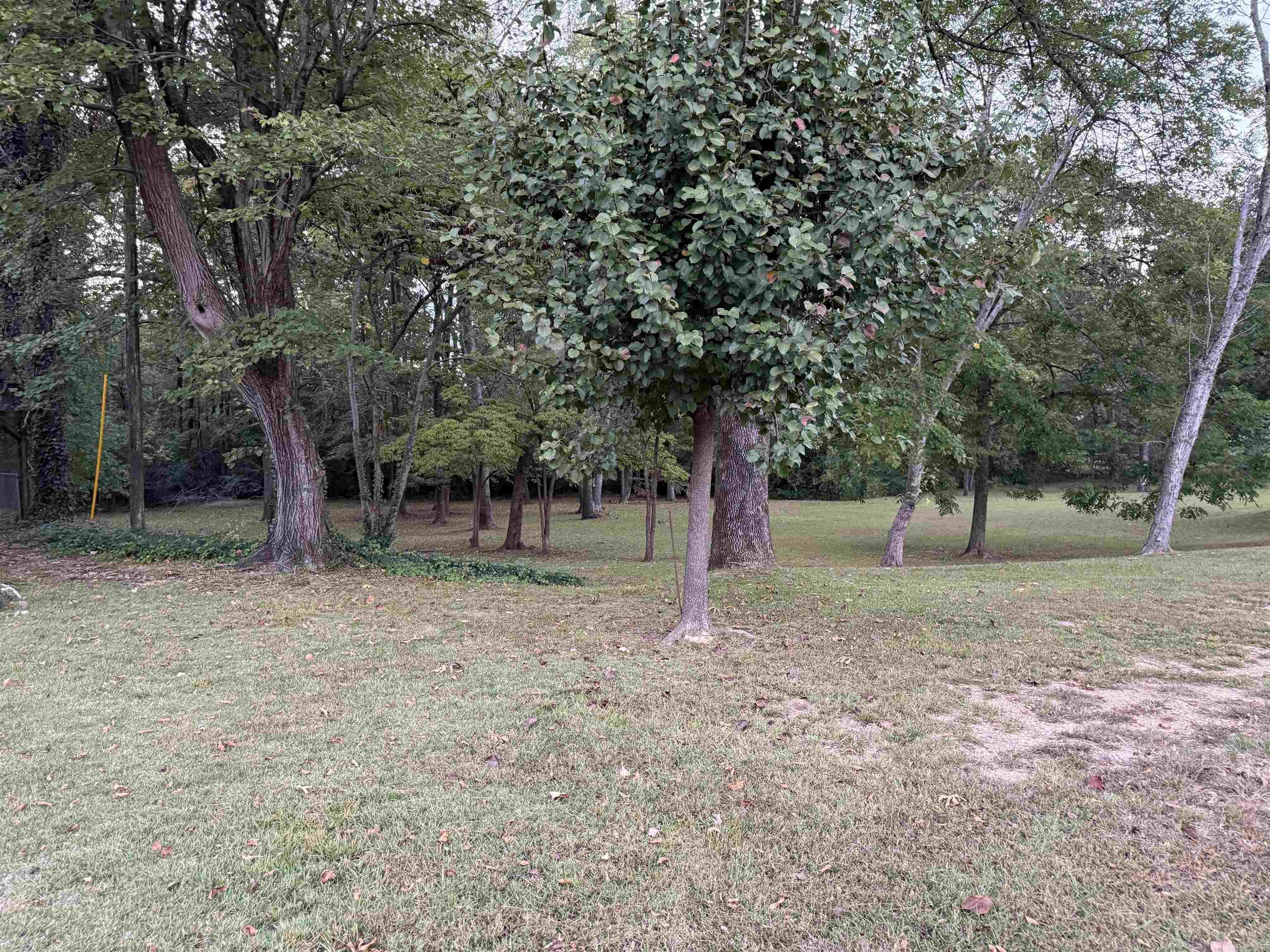 RAYS ADDITION - Residential