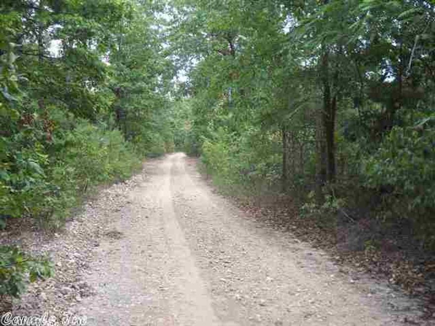 34.6 acres that joins the National Forest
