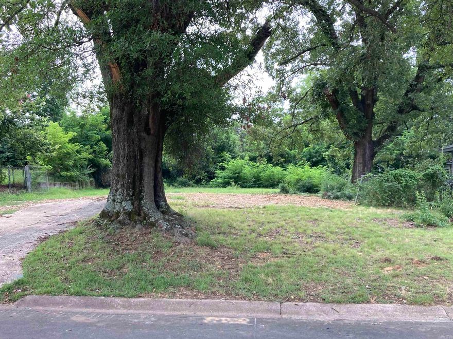 Nice, level building lot in established area just down the street from the old Bellwood Elementary.  Two beautiful, mature oaks offer excellent shade.  Former house site with existing driveway.  Taxes in public record reflect the former house.