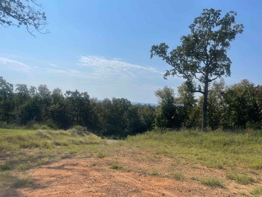 Enjoy the awesome view from this beautiful lot. It has a driveway and a level place all ready for your dream home. The back of the lot is wooded.