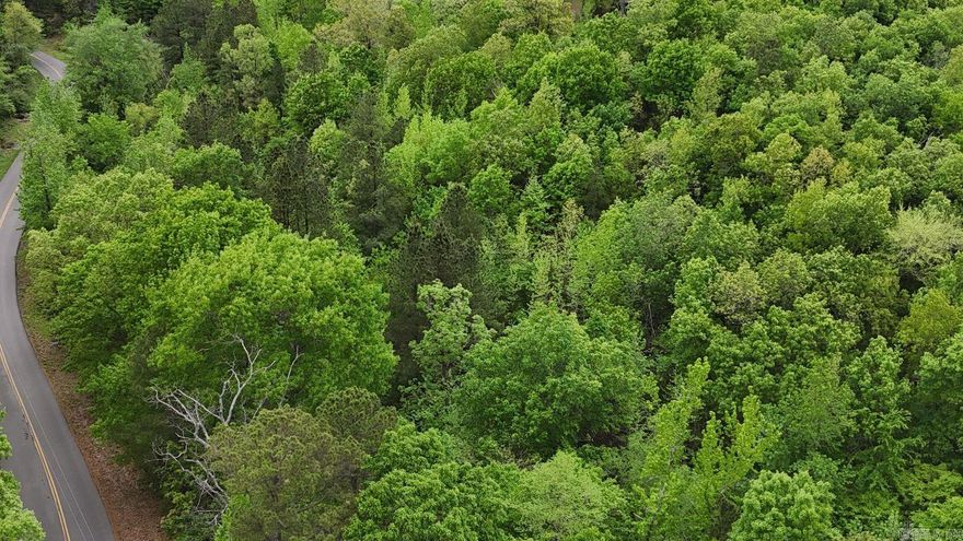 Discover the perfect blend of nature and convenience on this peaceful 3.2± acre wooded property Brier Creek flows through. Located close to town yet feels worlds away! Close assess to bike trails. This inspiring location is ideal for creative minds with a vision!