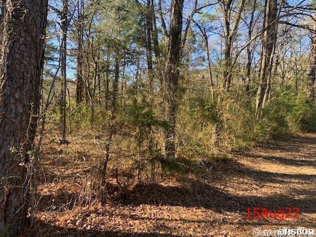 Treasure Isle - Land