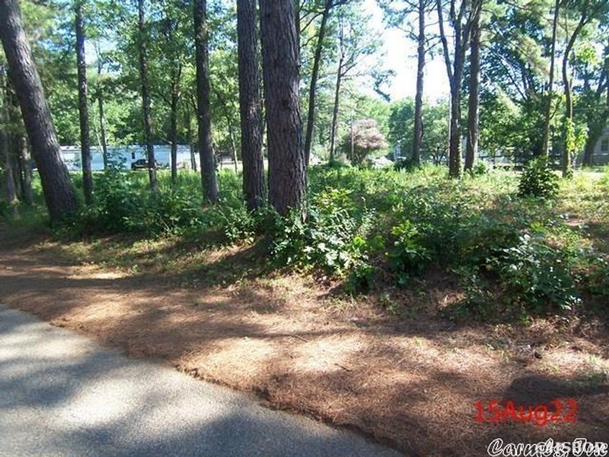 TREASURE ISLE.. 2 building lots... $35,000!!! nice, flat wooded lots for one or two homes!! city water available at street... lots have already had perk test certified and updated... also zoned commercial which might be useful, near Blakely Dam, Lake Hamilton and easy cut through to Hwy 7 N... NO MHs allowed