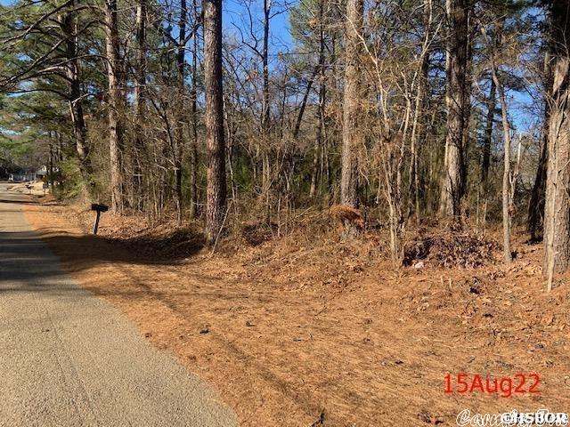 Treasure Isle - Land