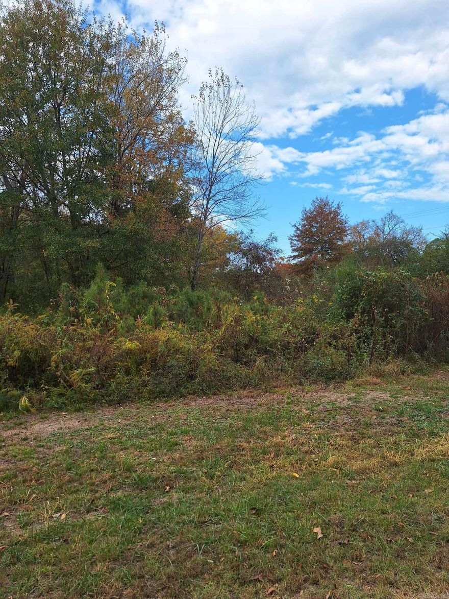 Build your new home on this great lot! Lot could be divided into 2 lots as it touches Davis St from one side and Harris St from the other.