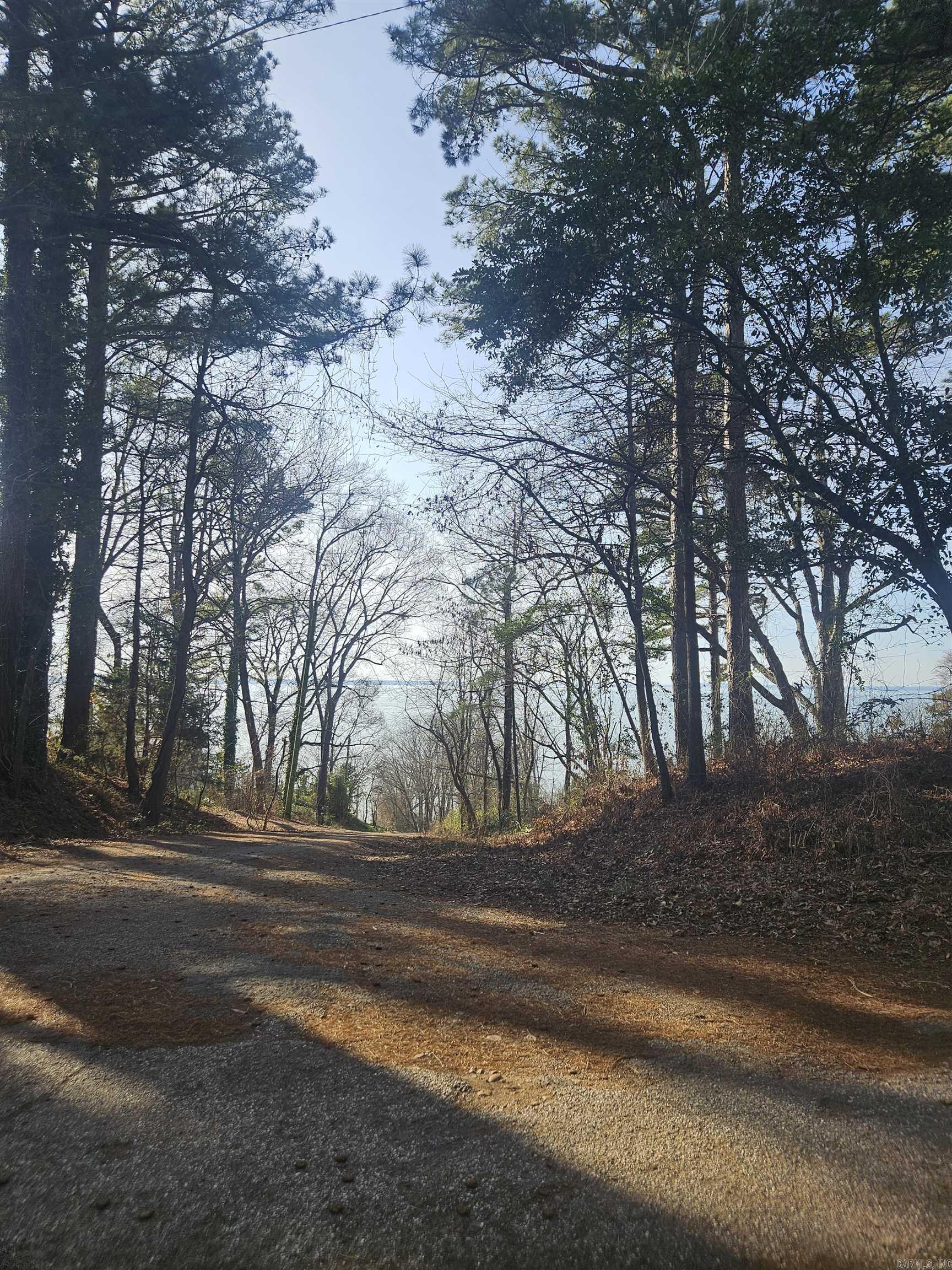 Foster - Residential