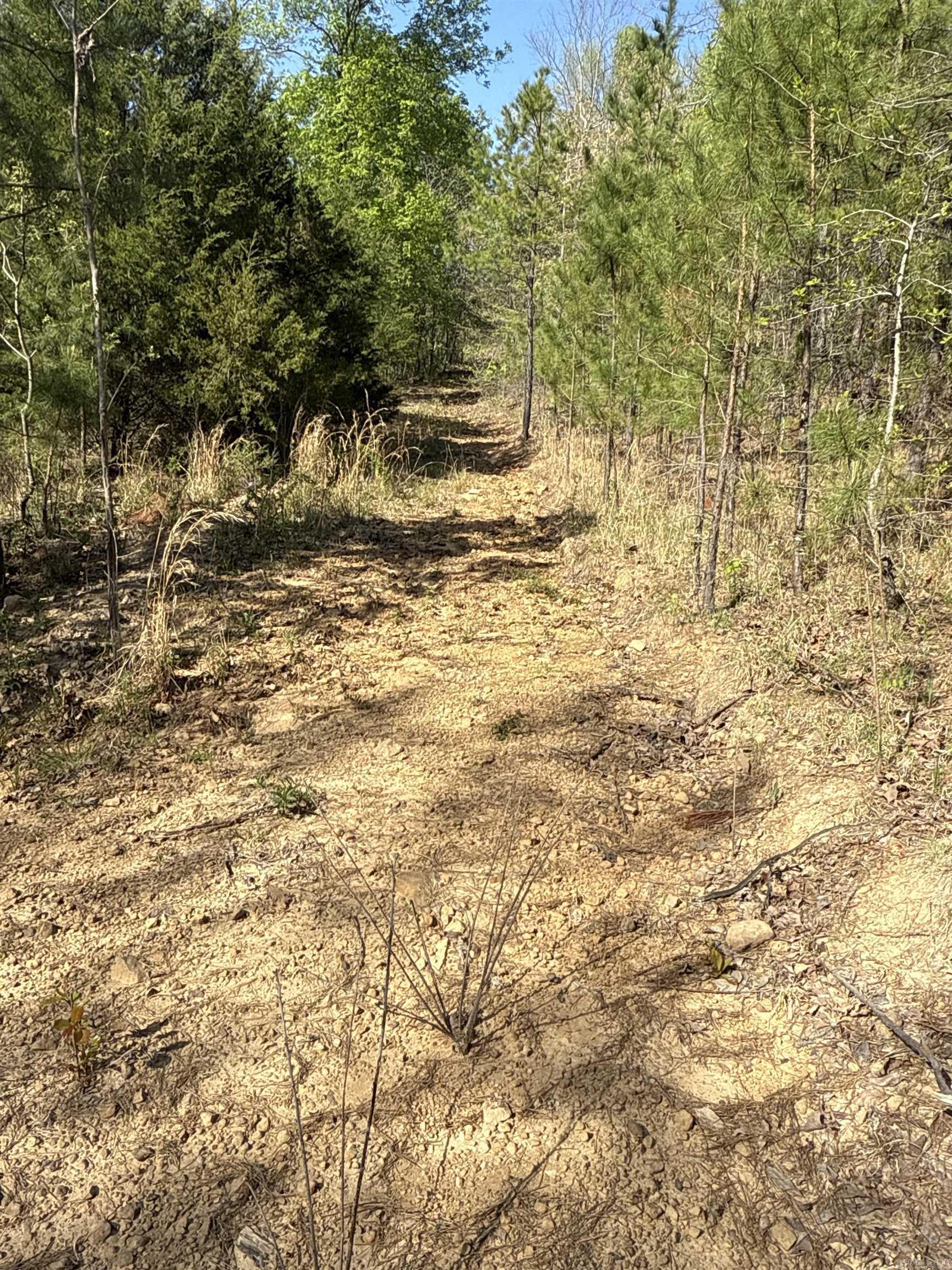 Tract 3 consists of 6 +/- acres with amazing views on paved, county-maintained Henderson Rd near Clinton, Arkansas. This beautiful property is mostly wooded with some fairly level spots to build and lays out nicely to the West. Driveway will need to be built and some clearing to take place to open up the Ozark mountain vistas to the West. There is plenty of space to build your mountain retreat or your dream home with ample space to stretch your legs. This property is in a quiet setting with utilities along the county road. Minutes from Clinton and a short drive to Greers Ferry Lake. Private, scenic, and ready for your vision.