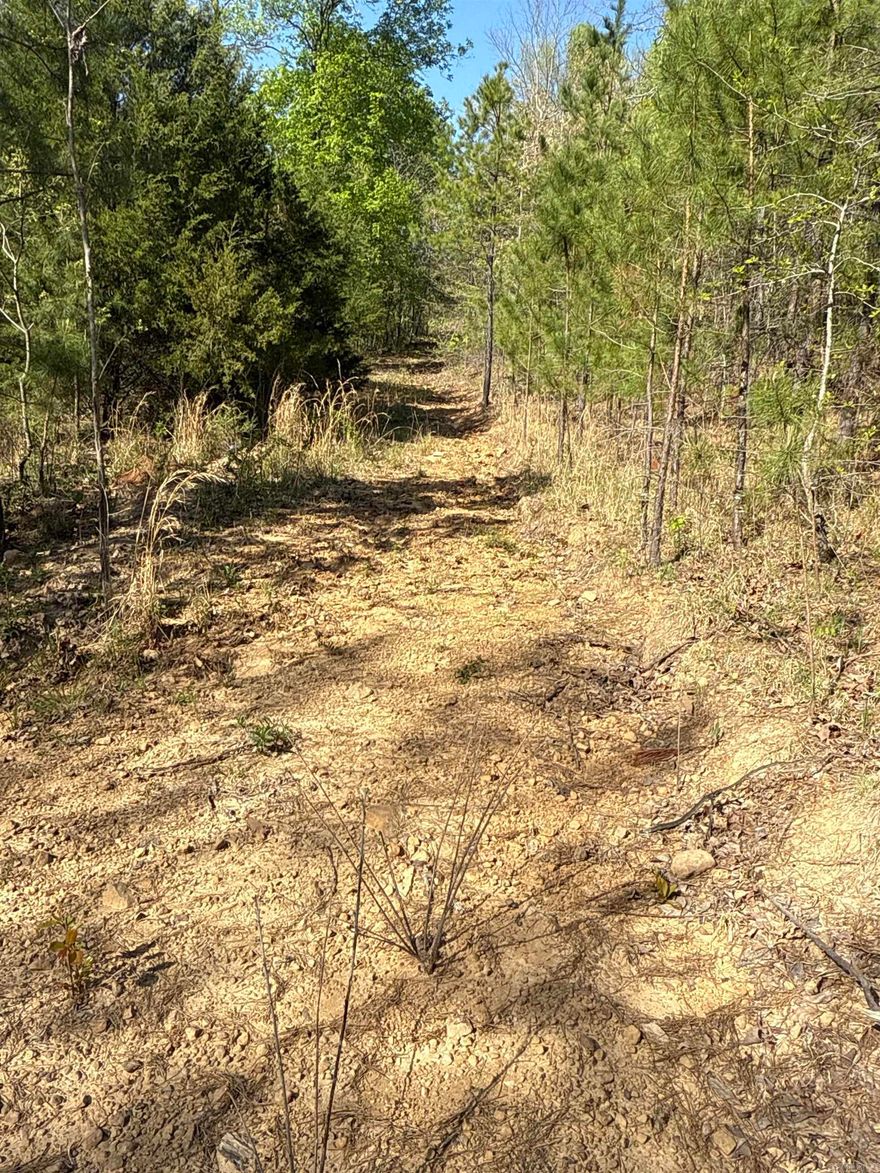 Tract 3 consists of 6 +/- acres with amazing views on paved, county-maintained Henderson Rd near Clinton, Arkansas. This beautiful property is mostly wooded with some fairly level spots to build and lays out nicely to the West. Driveway will need to be built and some clearing to take place to open up the Ozark mountain vistas to the West.  There is plenty of space to build your mountain retreat or your dream home with ample space to stretch your legs. This property is in a quiet setting with utilities along the county road.  Minutes from Clinton and a short drive to Greers Ferry Lake. Private, scenic, and ready for your vision.