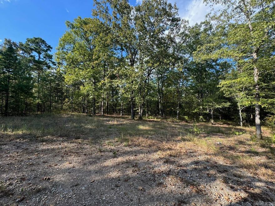 Beautiful land to build your next home on Hwy 10.  City water and electricity to homesite.  Small cabin perfect for picnics and hang-outs.  Gated with Driveway in place.