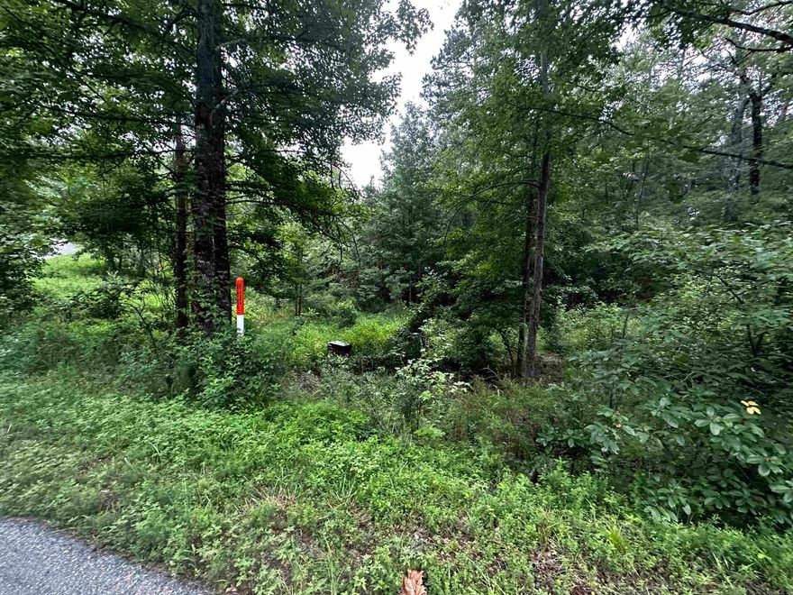Great Neighborhood to build your dream home at the lake. Undergrounds utilities already in place!  Mineral rights do not convey.