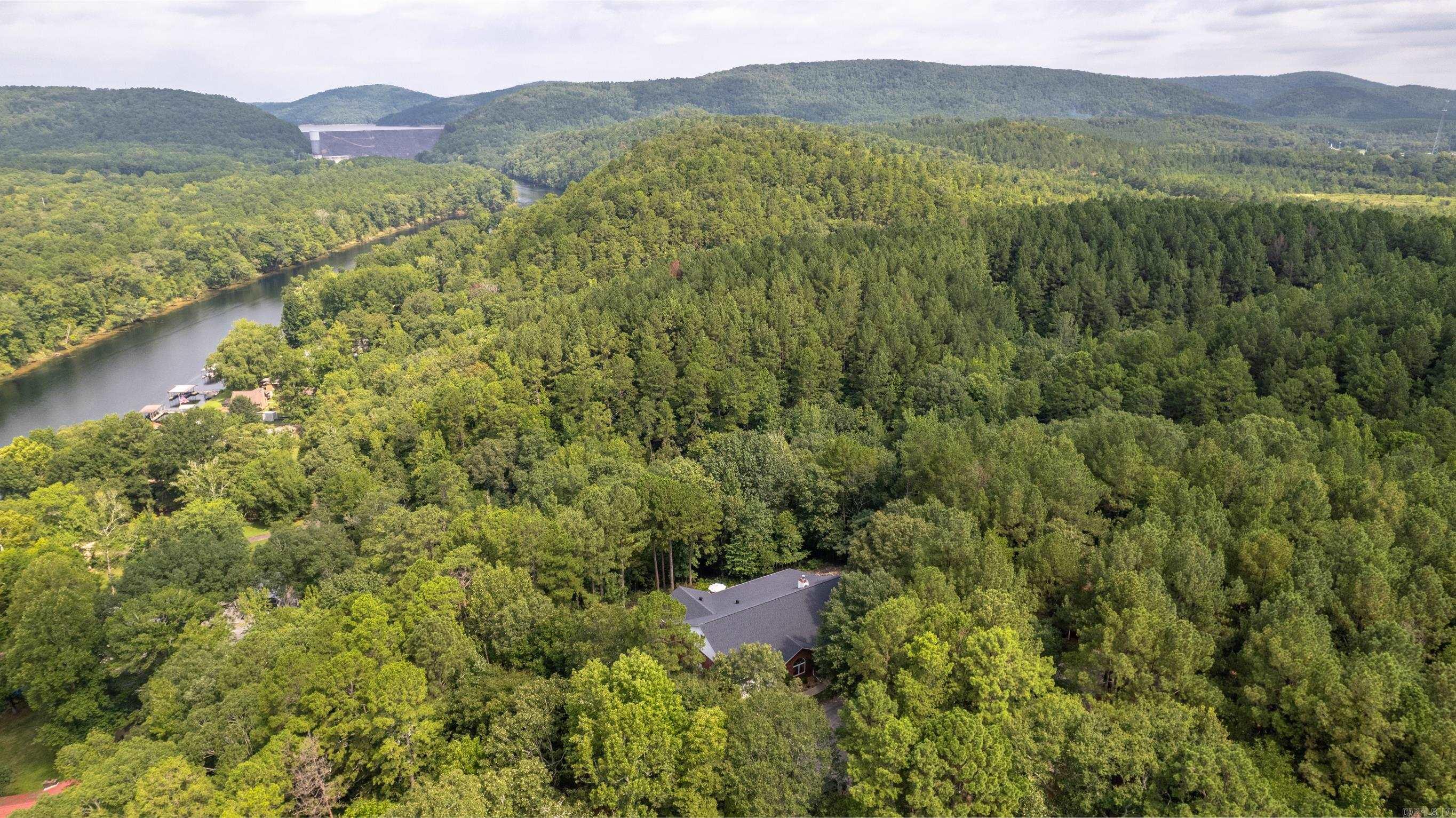Mountain Pine Outside - Residential