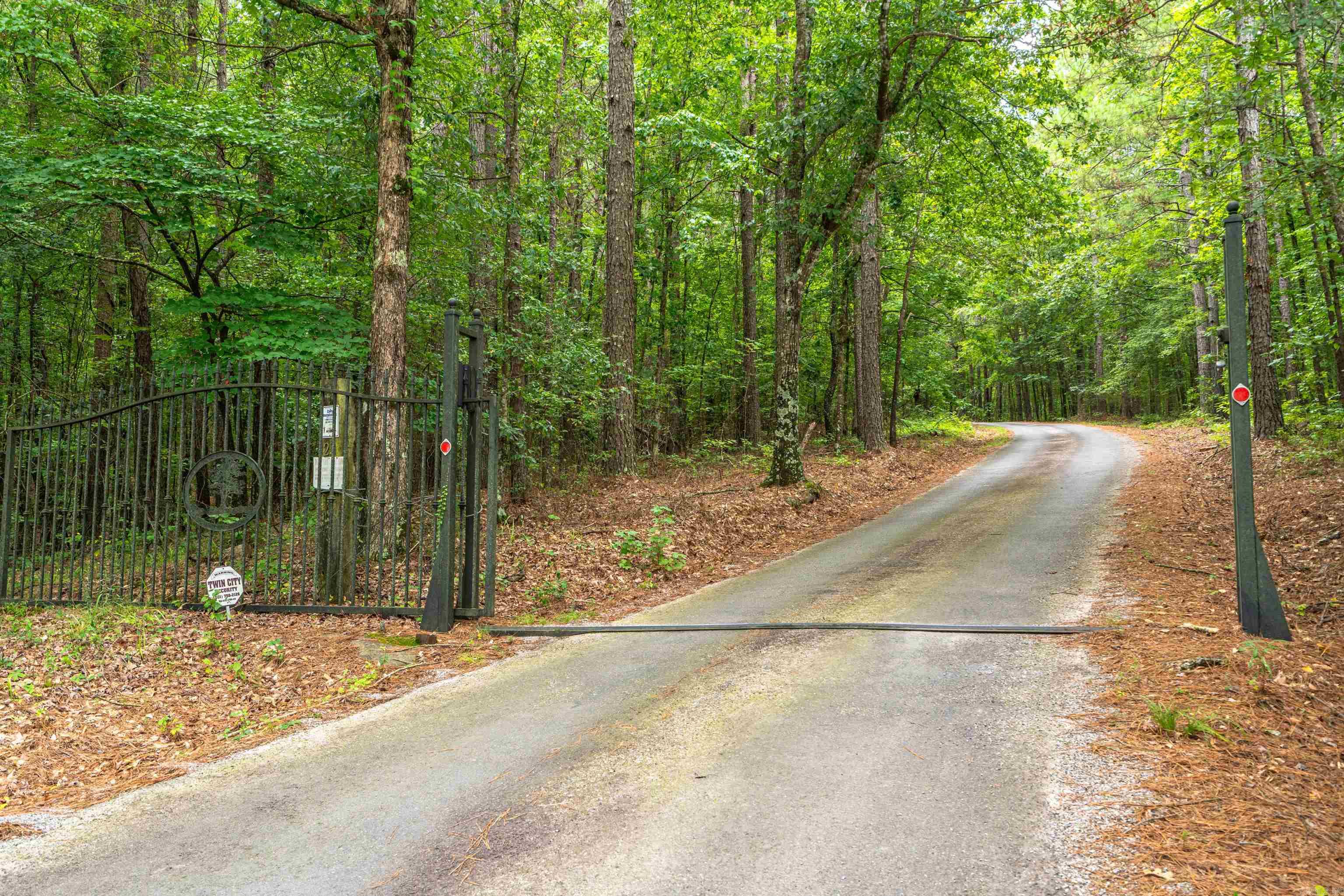 Mountain Pine Outside - Residential