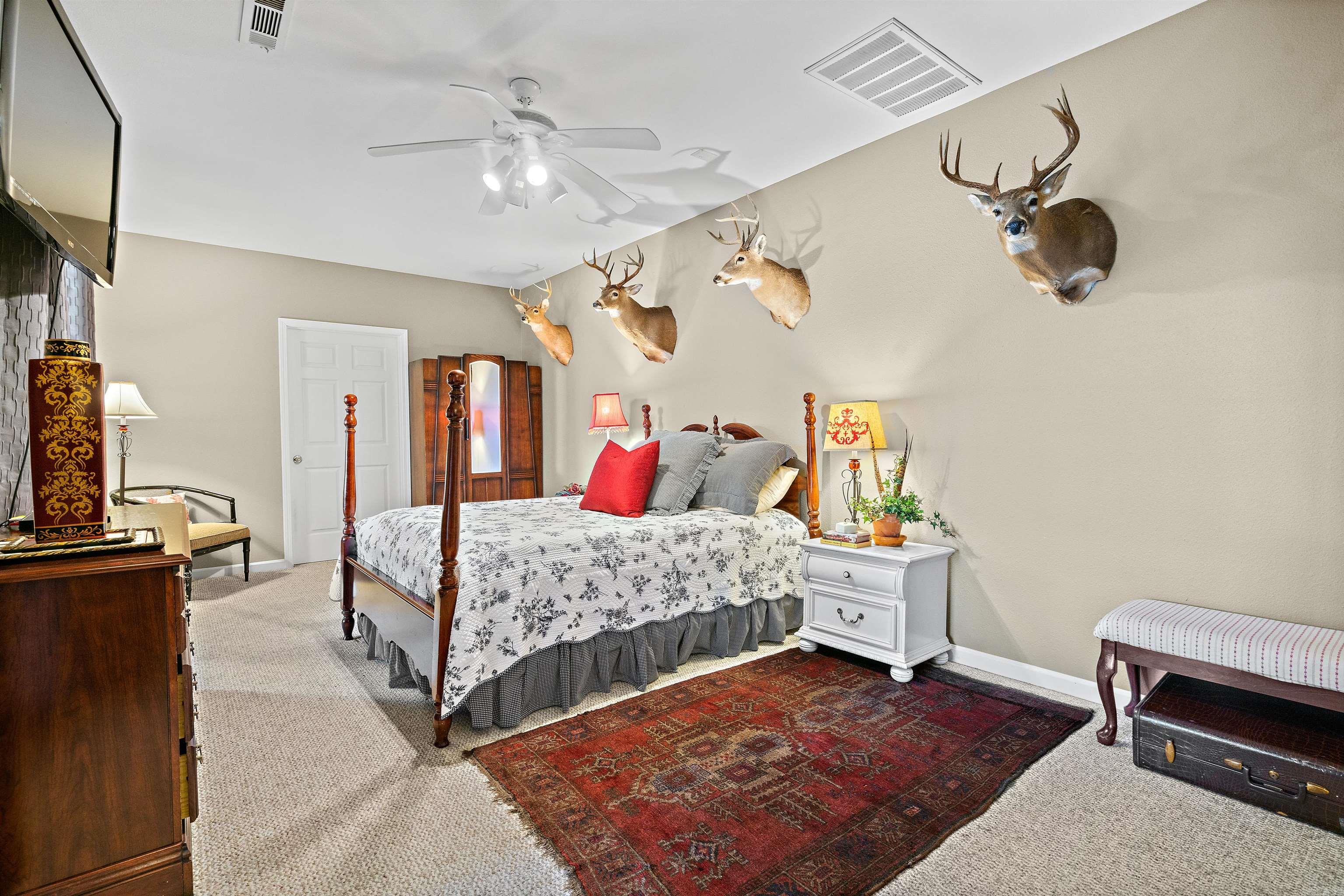 Mountain Pine Outside - Residential