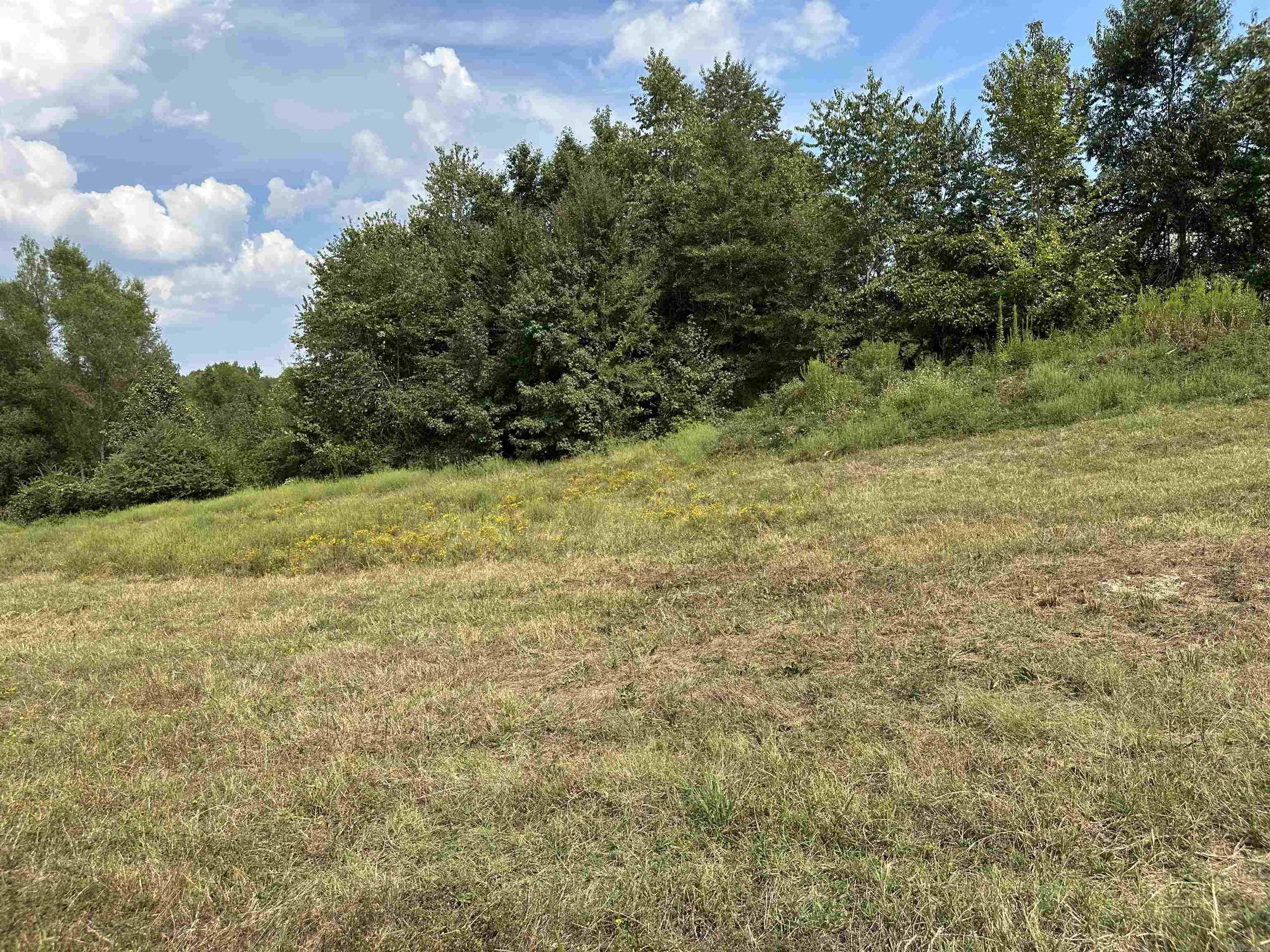 Sulphur Springs - Commercial Sale