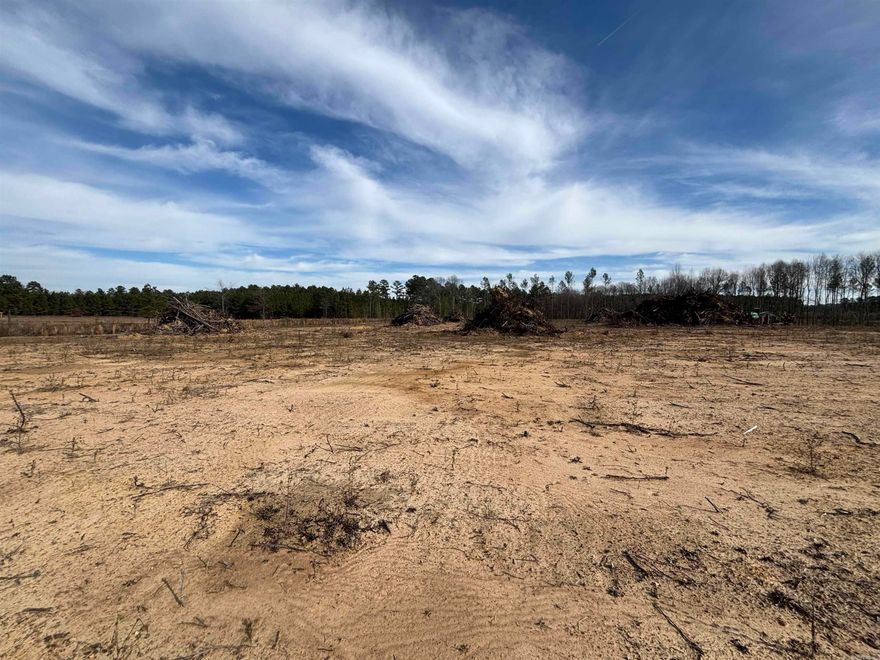 Nice area of homes*half of this tract has been cleared*level and all buildable*see restrictions and survey under MLS documents*