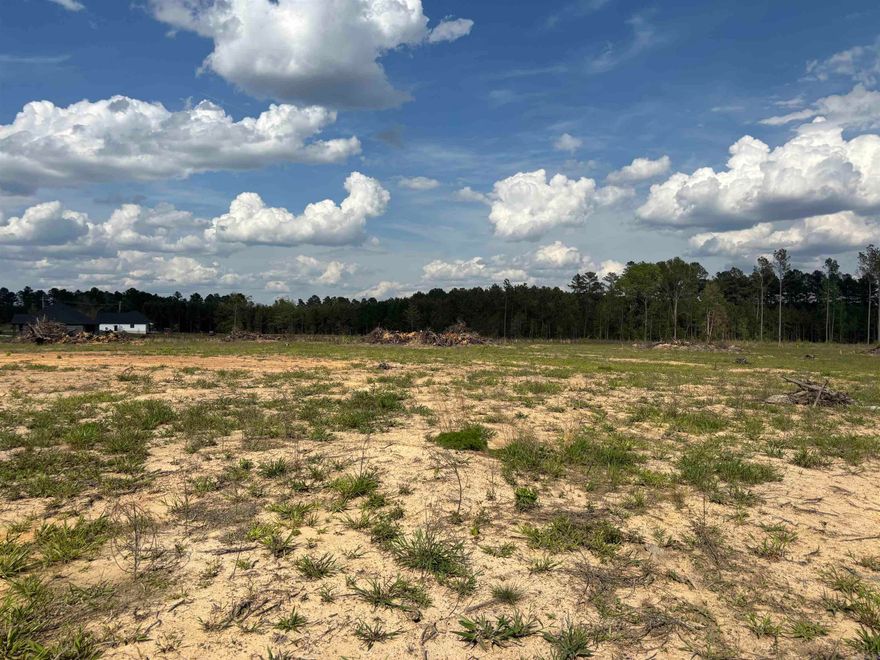 Nice area of homes*half of this tract has been cleared*level and all buildable*see restrictions and survey under MLS documents*