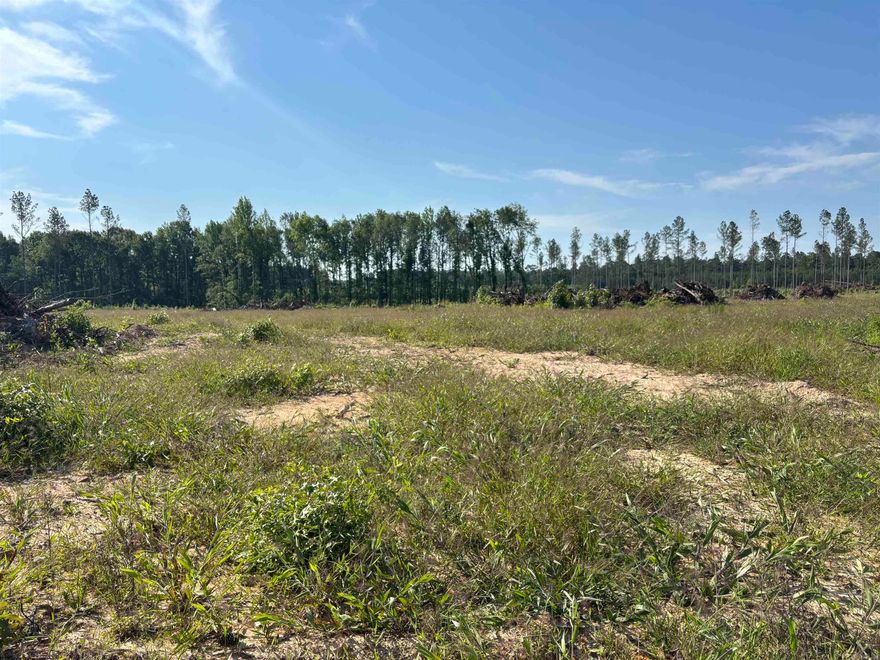 Nice area of homes*half of this tract has been cleared*level and all buildable*see restrictions and survey under MLS documents*