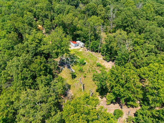 325 FISH AND FIDDLE RD, MOUNTAIN HOME, AR 72653 - Image e85a8d42c90627c8d8e396f69c65efae/335821328