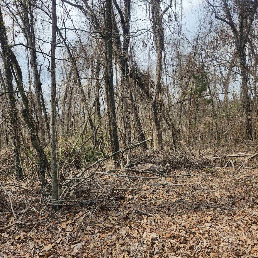 This is a gently sloping lot with an downhill slope. It has easy access to the 4-lane highway for shopping and dining. This is a nice, wooded lot just waiting for you to come pick the spot you want to build your dream home on. With property ownership comes access to all the amenities of Cherokee Village. 7 Lakes, 2 Golf courses, 2 recreational centers and don't forget about the beautiful Southfork River that meanders right through Cherokee Village.