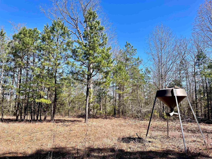 This property is ready to hunt! If you have been looking for a great hunting property with great access, large timber and loaded with wildlife then this one is worth looking at. With gated access from a county road, you can travel across an extensive internal road and trail system to access several great hunting stand locations. Several existing food plot openings are strategically placed across the property. Years of research and experience have placed deer stands in ideal locations and can be approached from various directions. A few thickets scattered throughout the mature pine and hardwood forest provide excellent bedding and feeding areas that complement the food plots. Large white oaks and post oaks provide excellent acorn production in the fall and attract deer and turkey. The tall mature pine provides great roosting locations for the turkey as well. If you would like to add an off-grid cabin, there are several building sites from which to choose. Situated just minutes from the White River with an Arkansas Game and Fish boat ramp, the White River is well known for its excellent fishing and boating. Minerals owned by the Seller convey.
