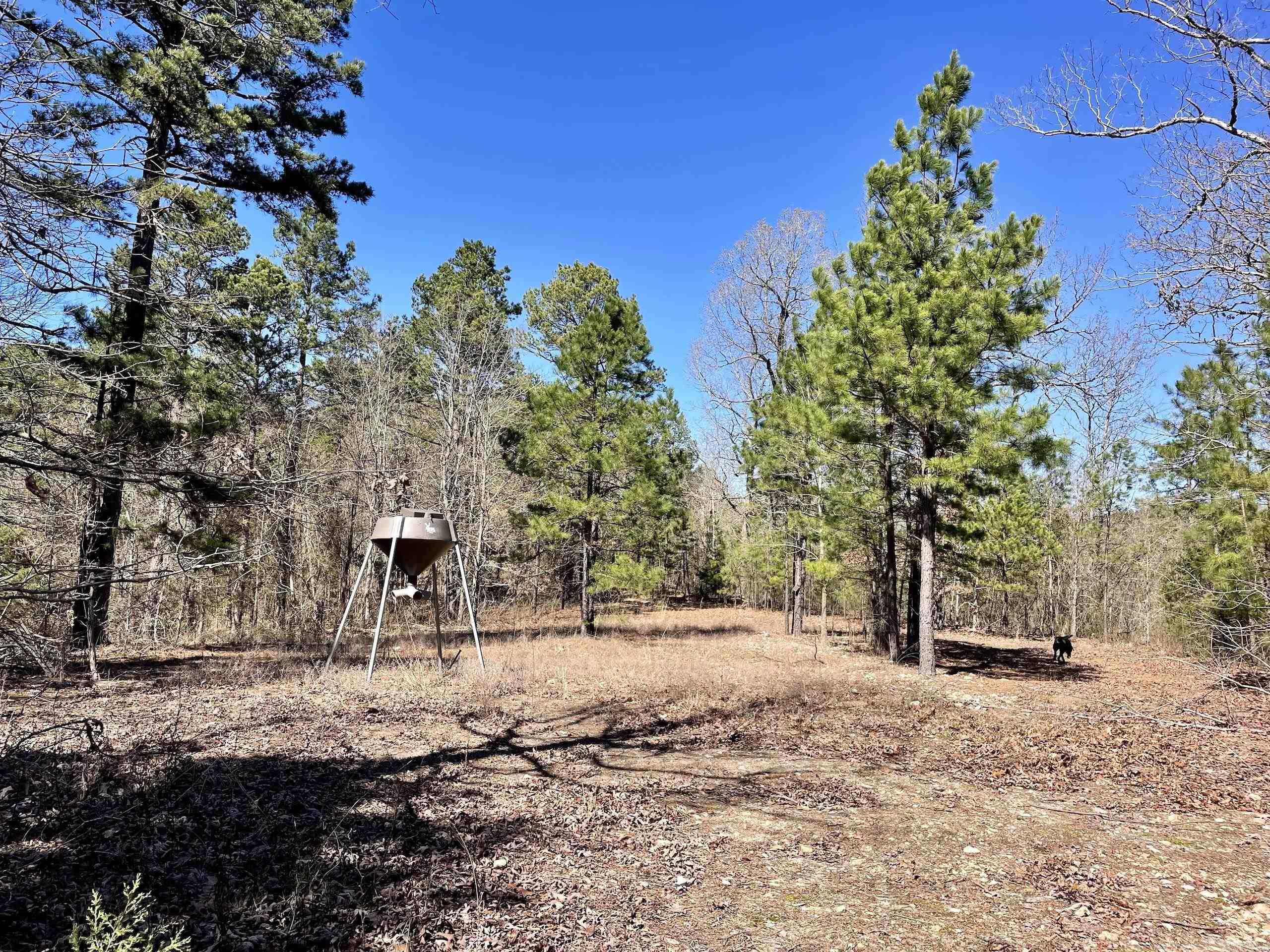 Not in Subdivision - Land