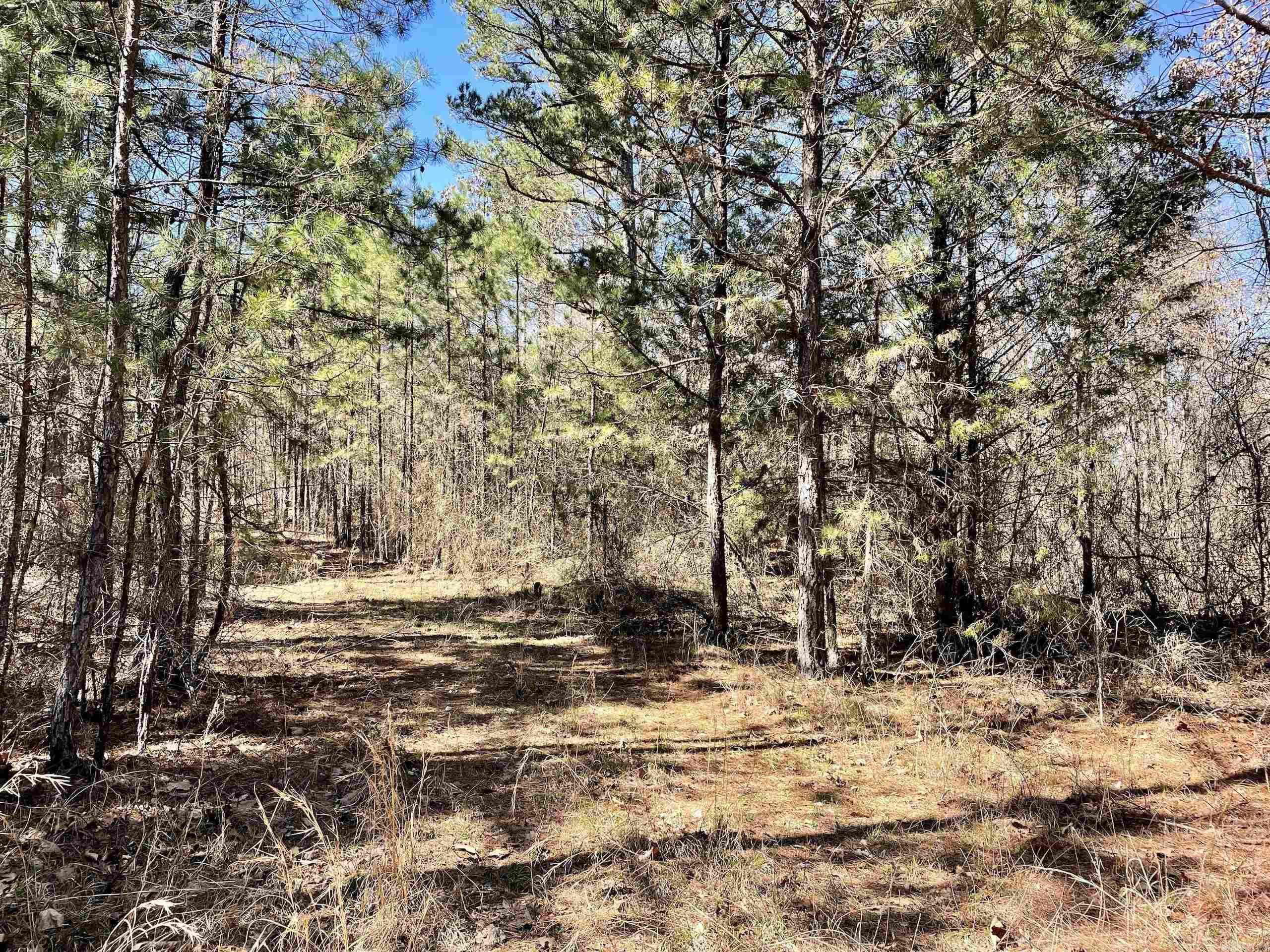 Not in Subdivision - Land