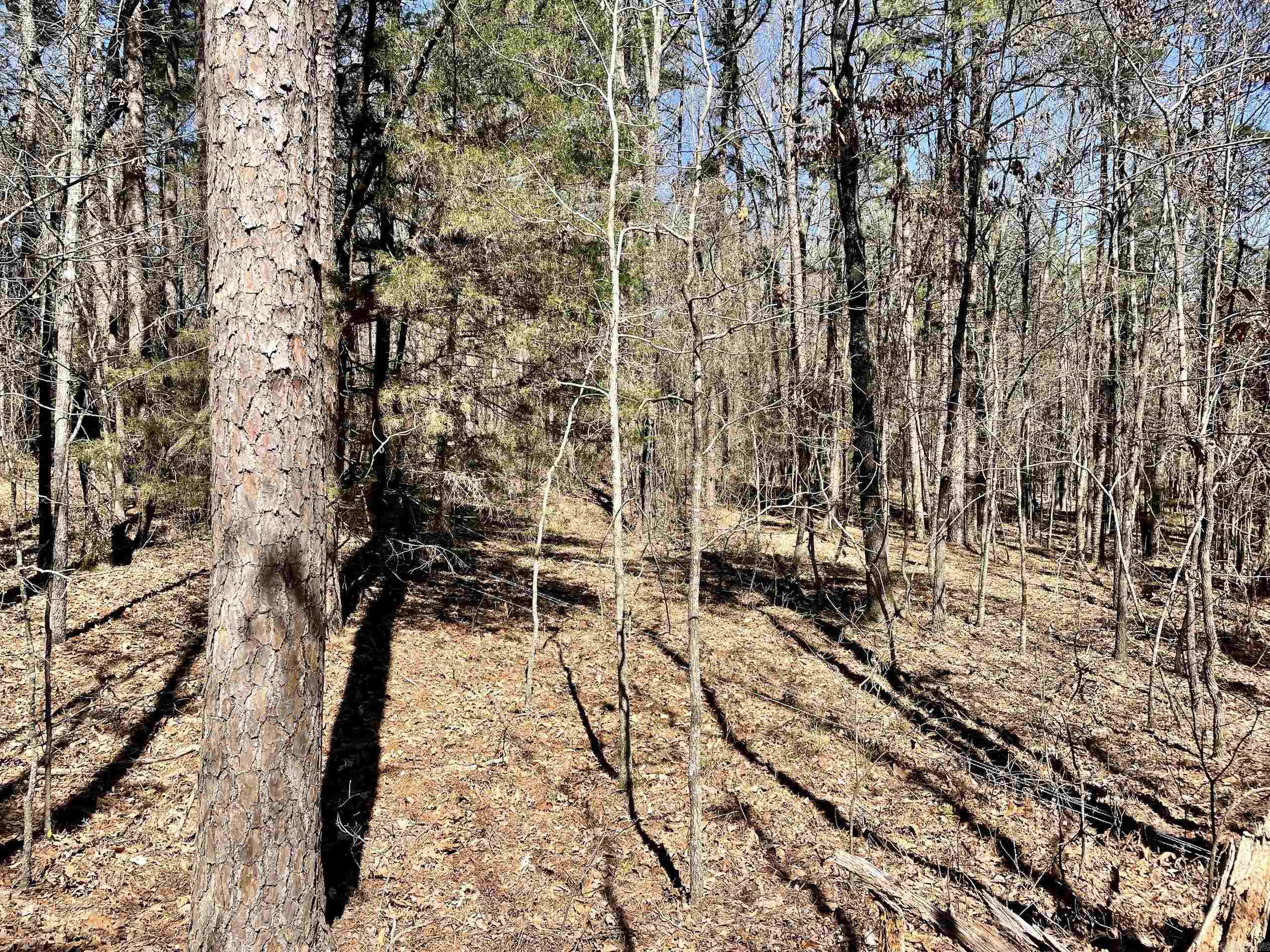 Not in Subdivision - Land
