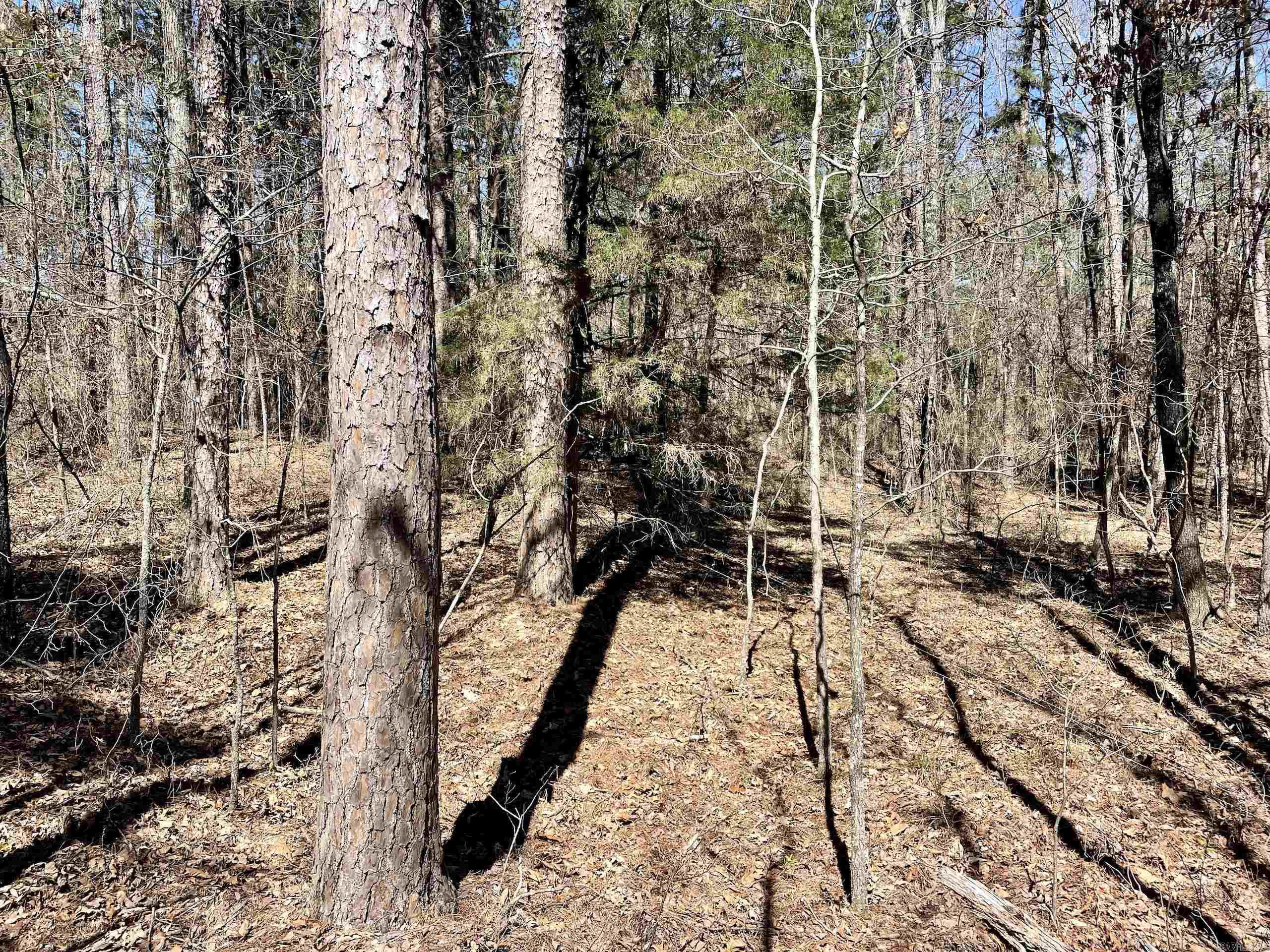 Not in Subdivision - Land