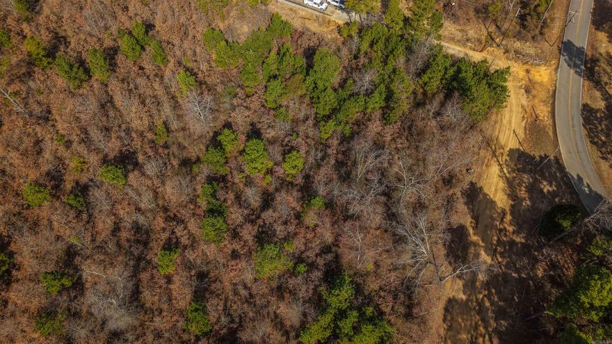 Scenic 3 acres with breathtaking views of rolling hills! The perfect spot to build your dream home with a minimum 2,000 sq. ft. build requirement to protect value and quality. Utilities available at the road, making this property ready for your vision. Don’t miss this opportunity to own a slice of peaceful Arkansas beauty!