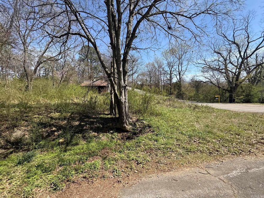 Nice Large Lot in Mena with several Trees.  Lot is zoned (RM) Res. Misc. Improv.  This Lot address is Holly Ave but it also fronts along Pine Street