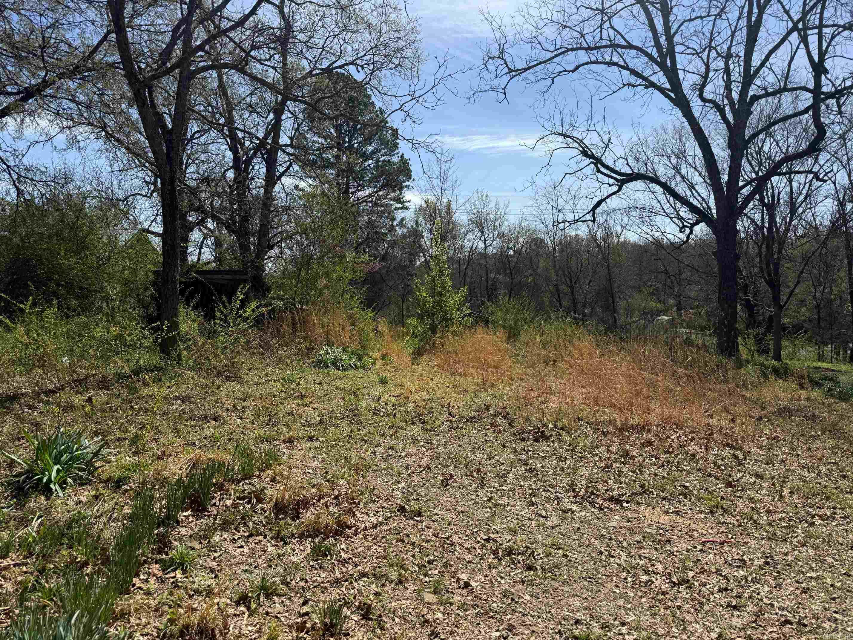 Mena Original - Land