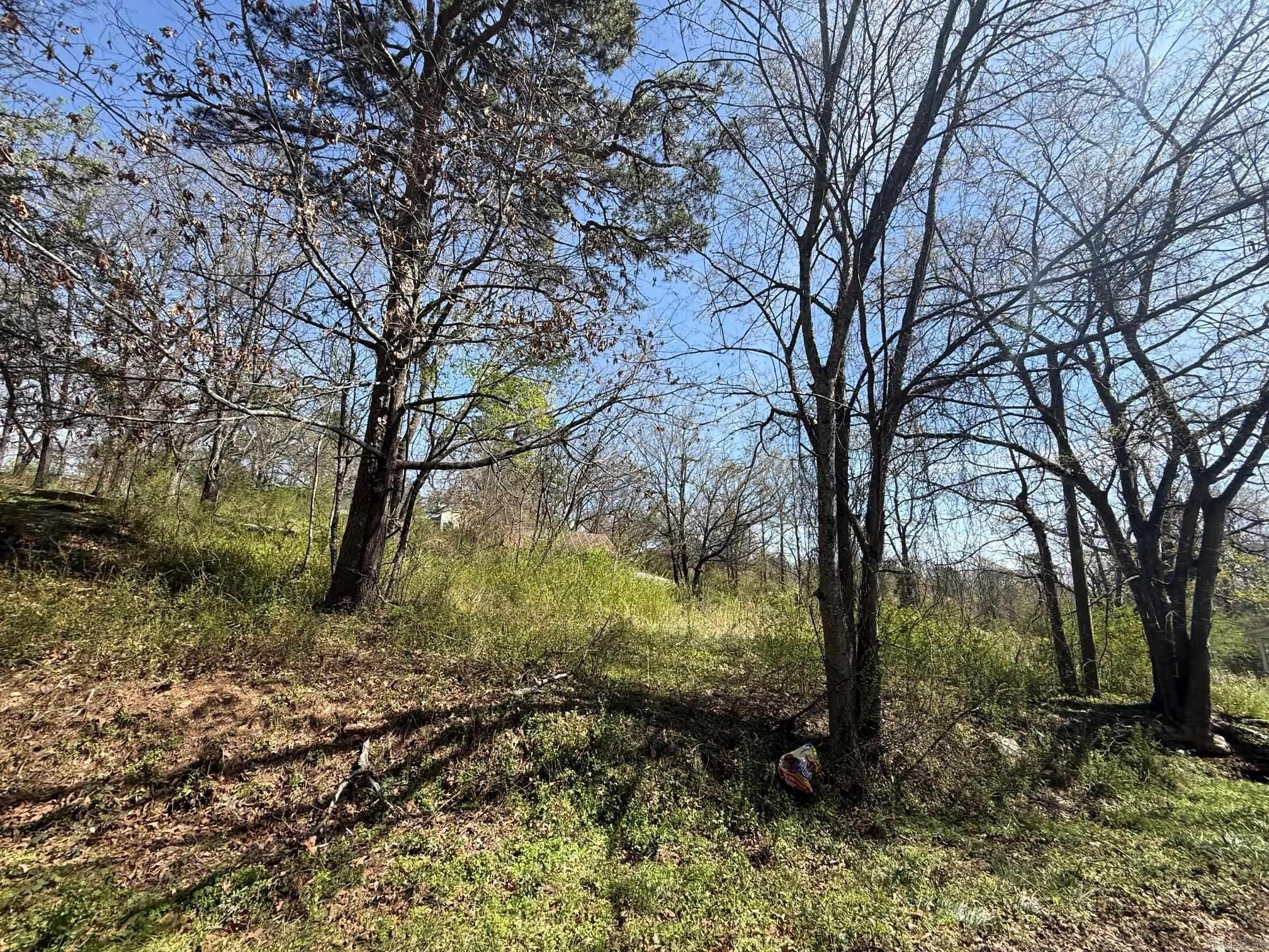 Mena Original - Land