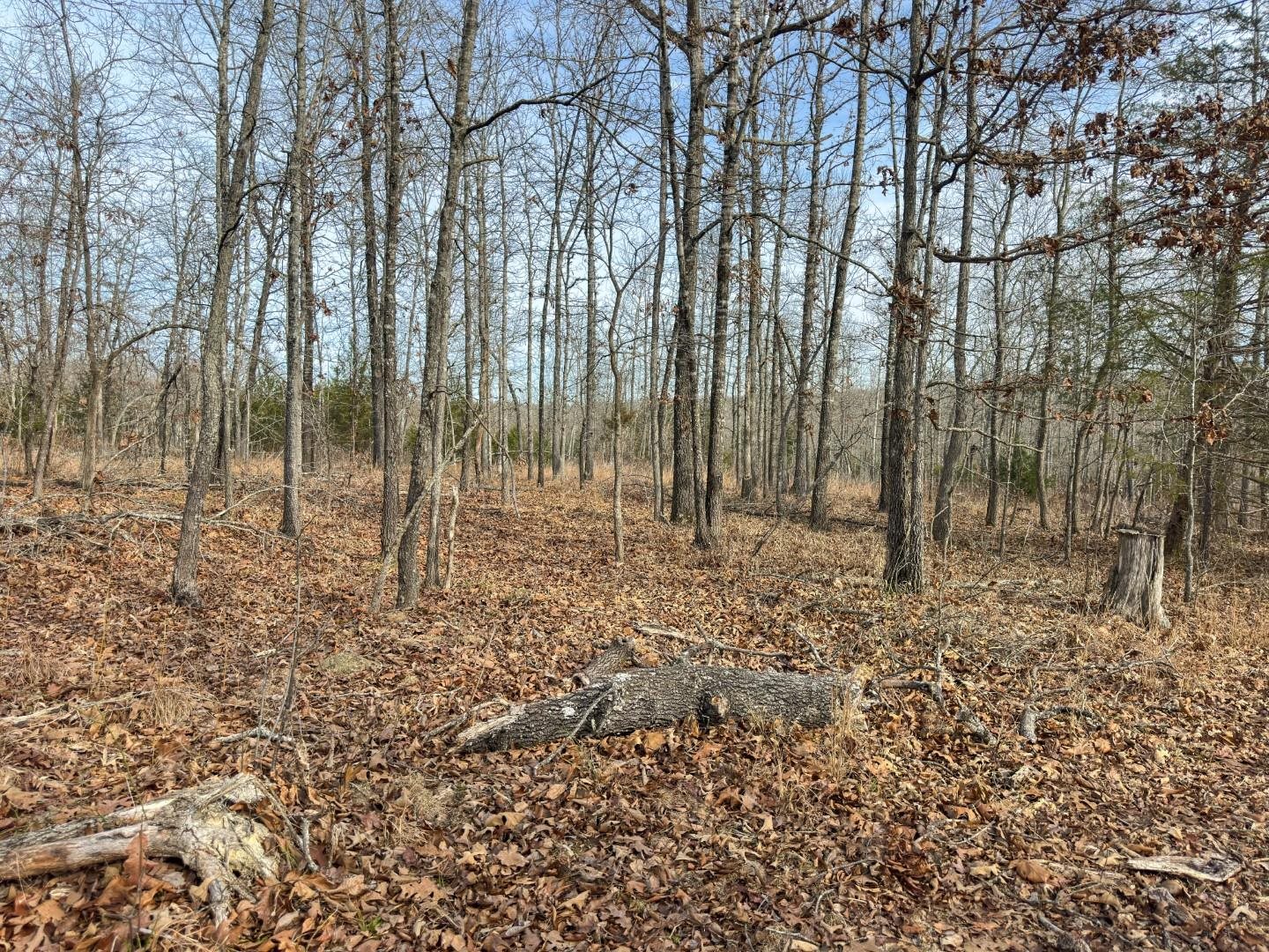 Metes & Bounds - Land