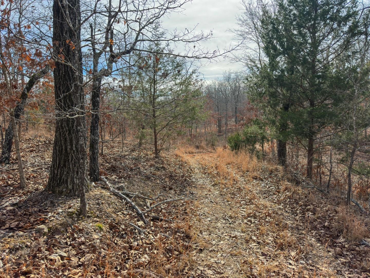 Metes & Bounds - Land