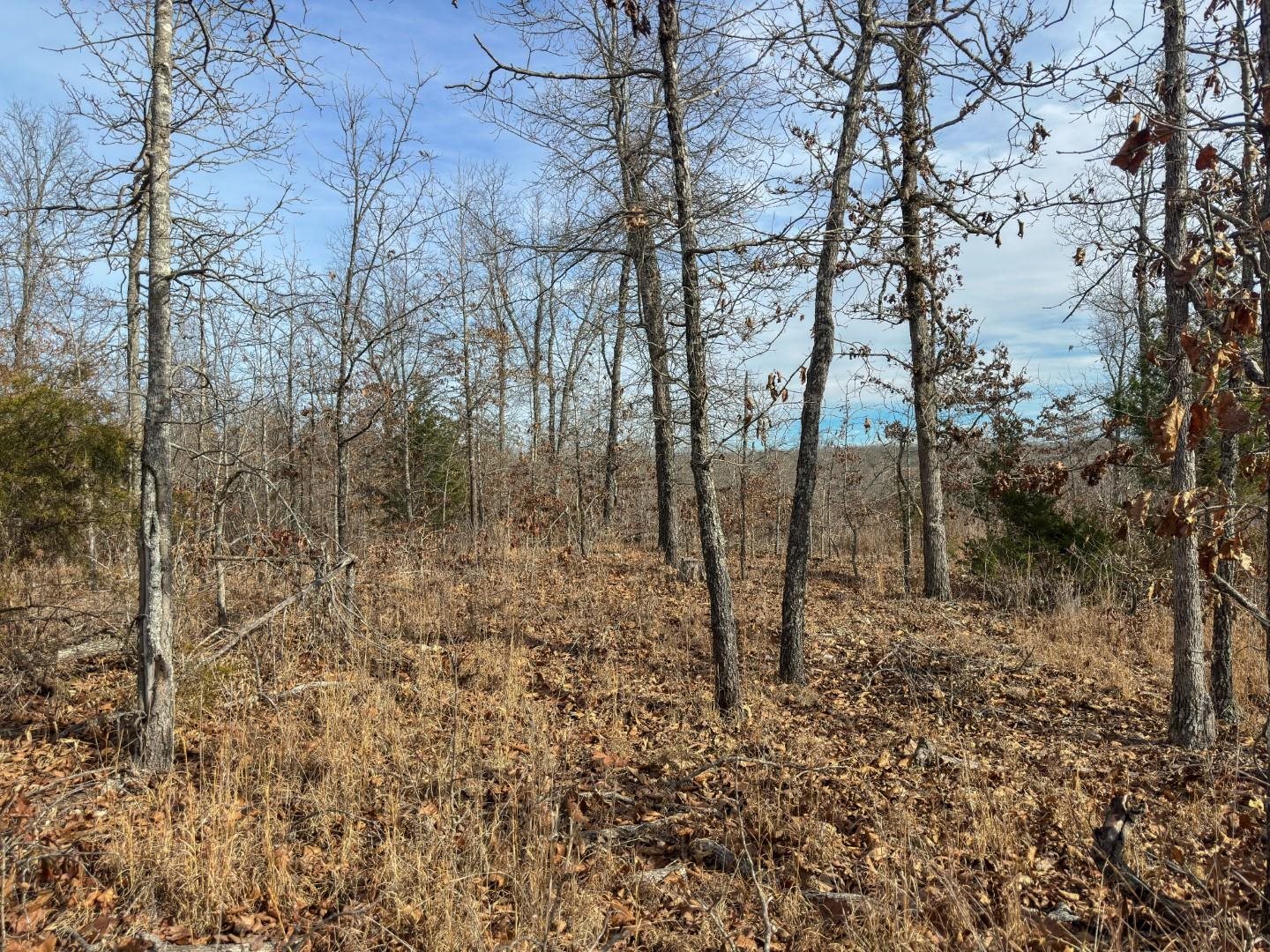 Metes & Bounds - Land