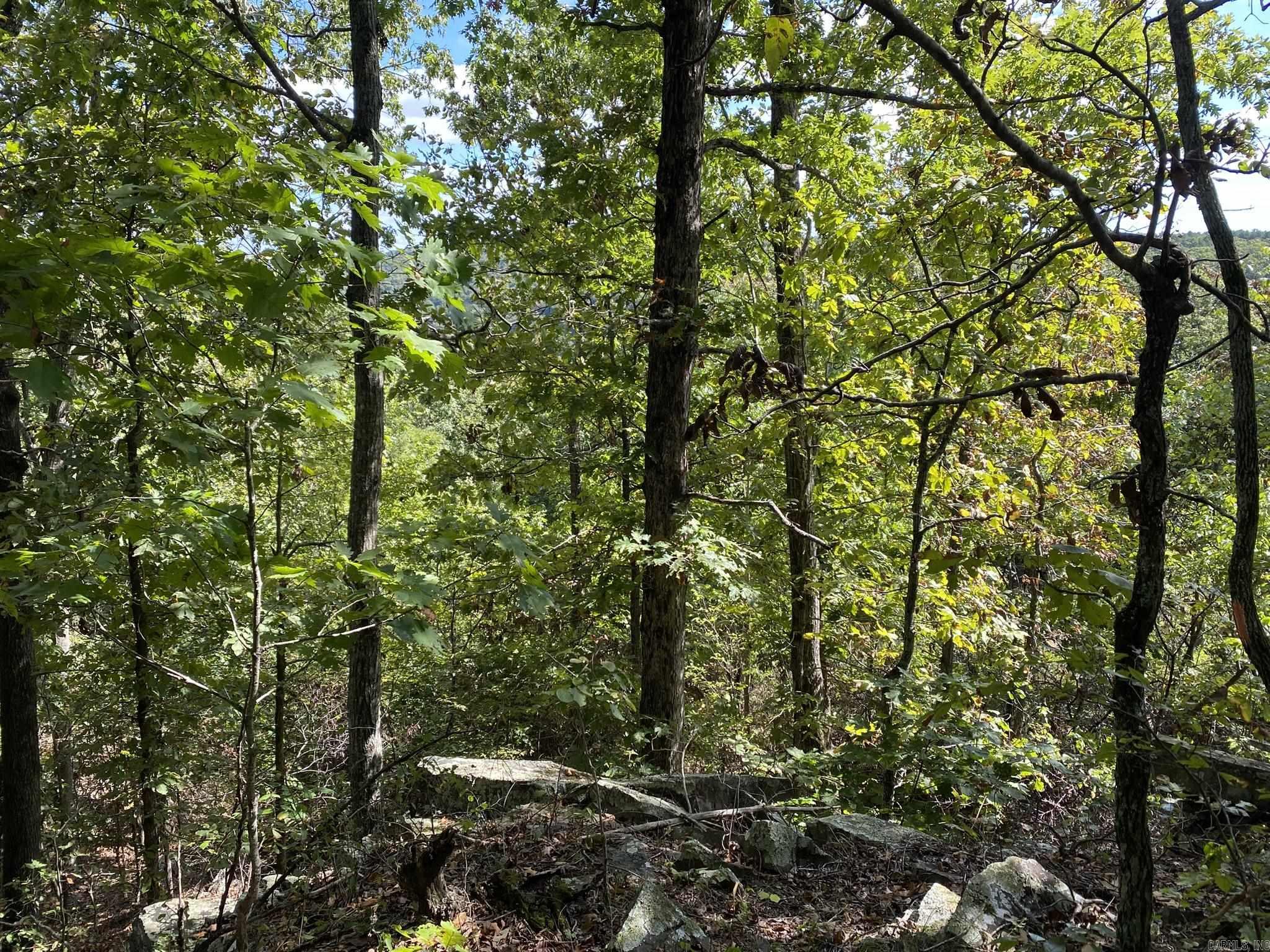 Cooper Point - Land