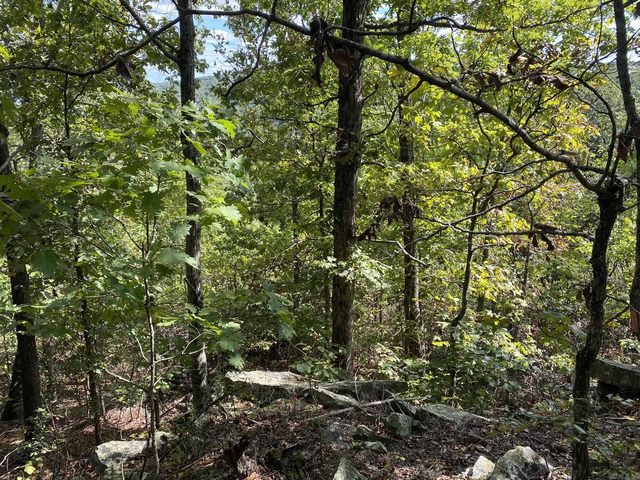 Cooper Point - Land