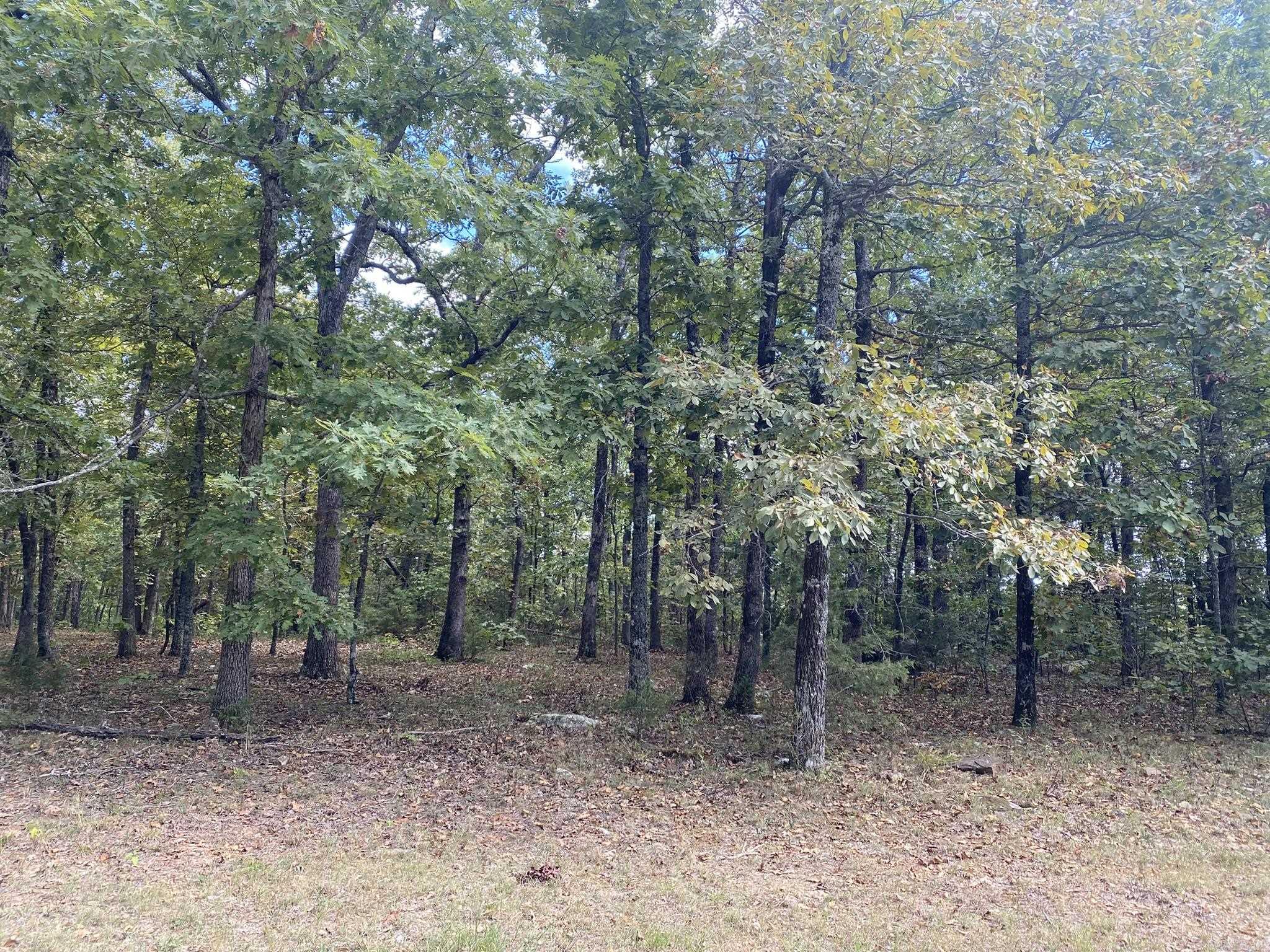 Cooper Point - Land