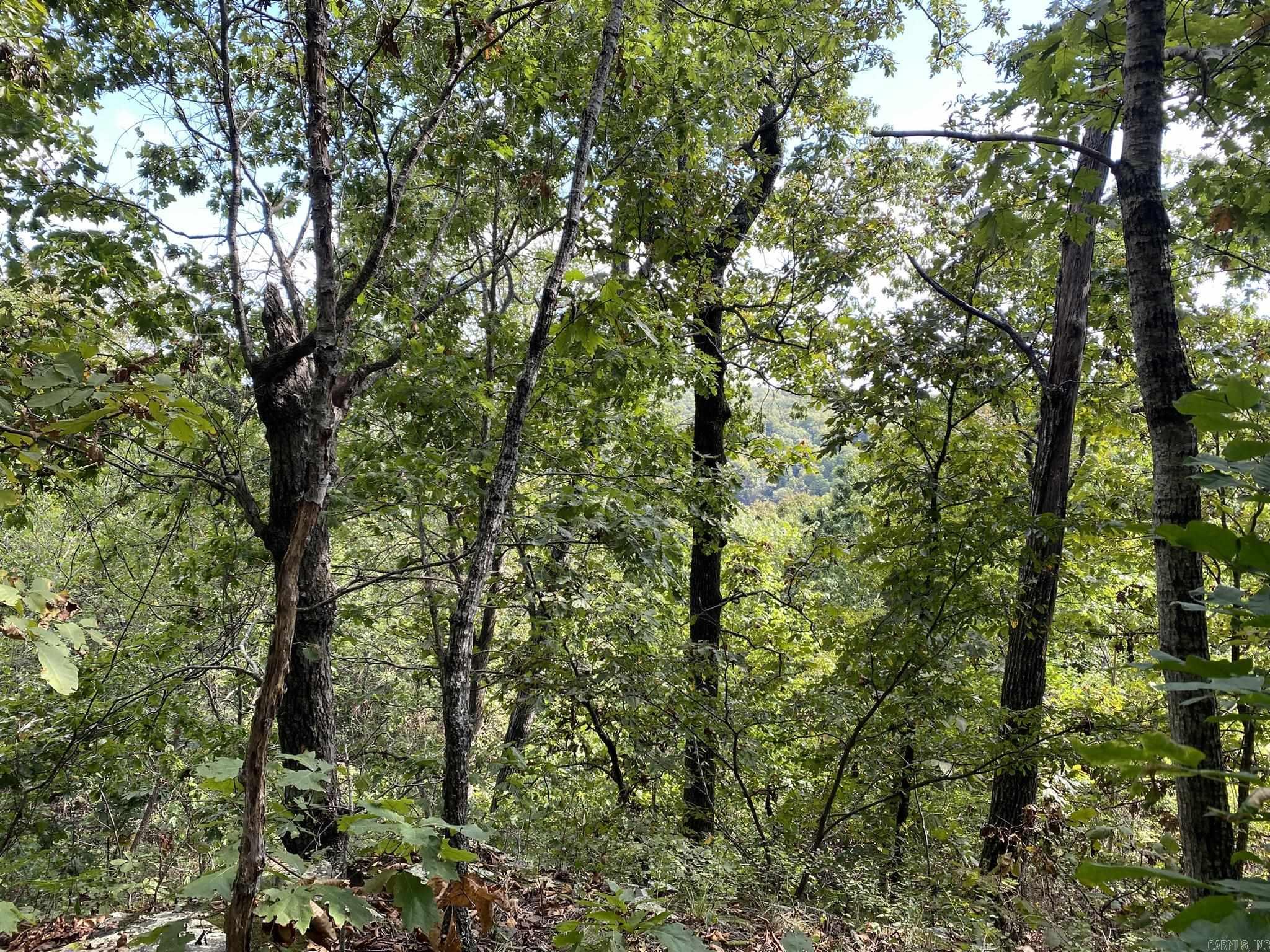 Cooper Point - Land