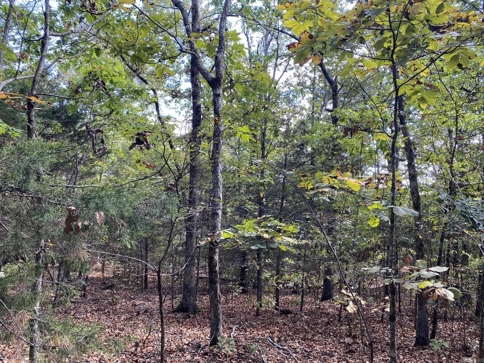 Cooper Point - Land