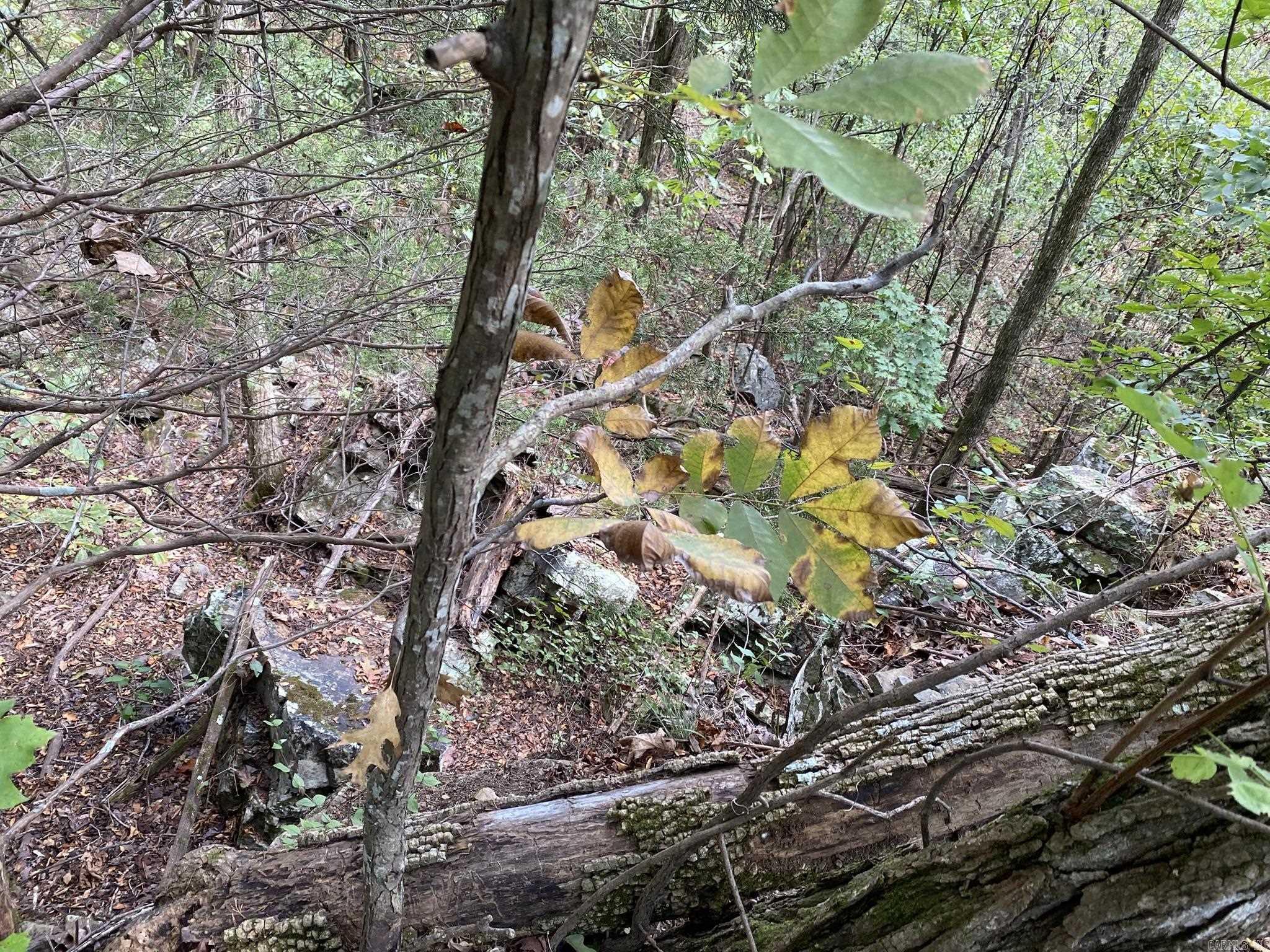 Cooper Point - Land