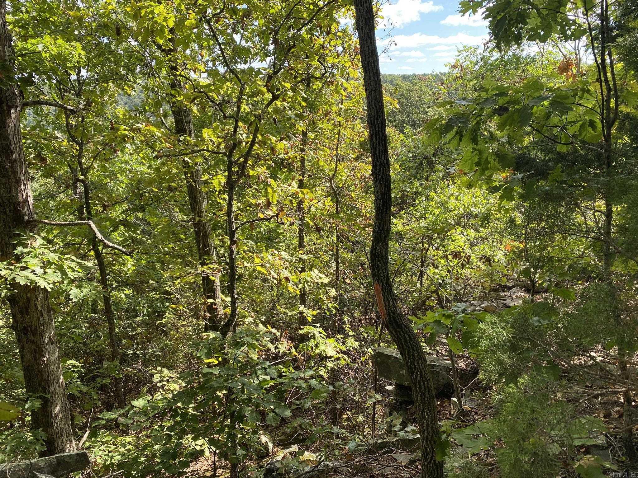 Cooper Point - Land