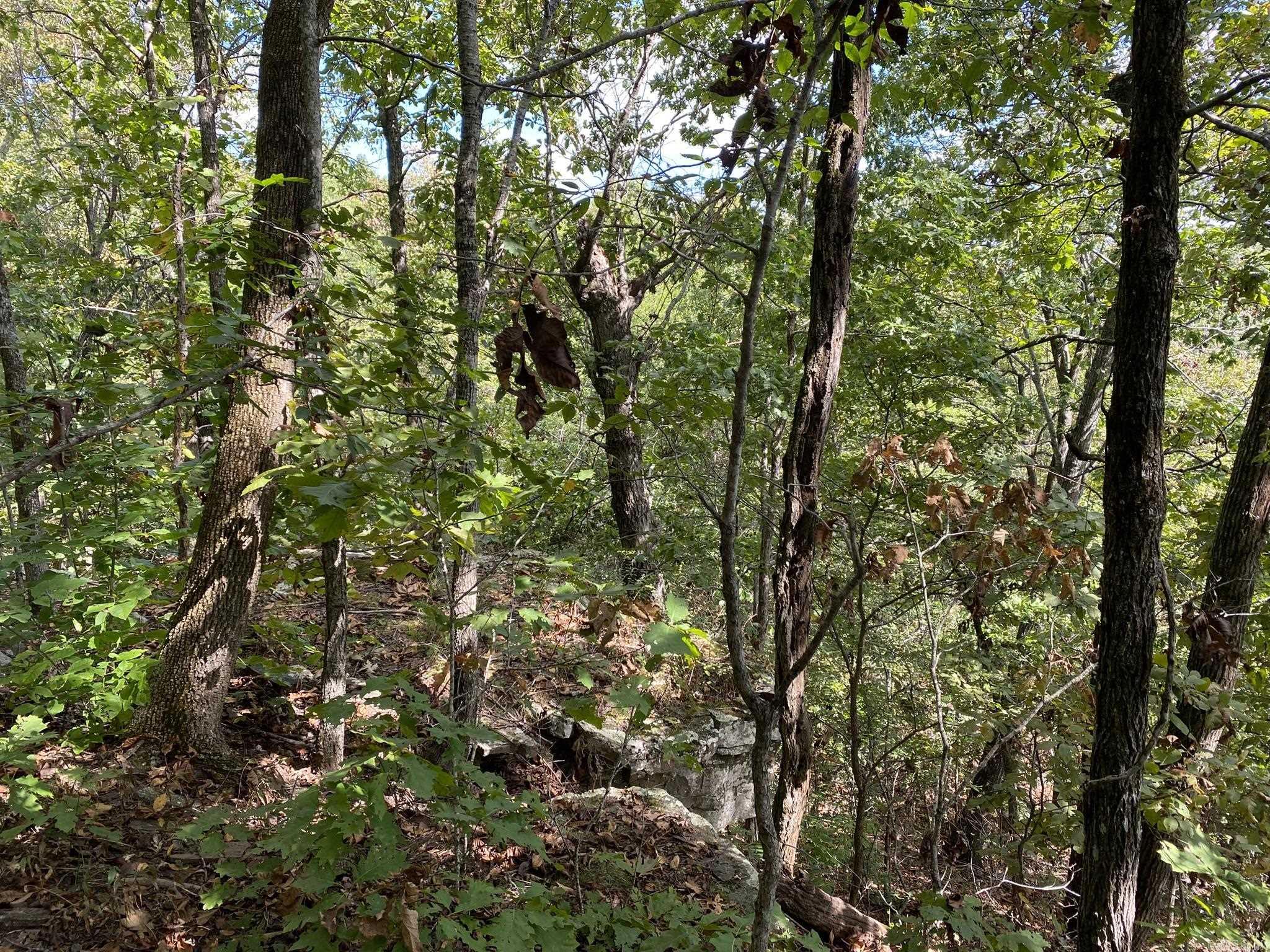 Cooper Point - Land