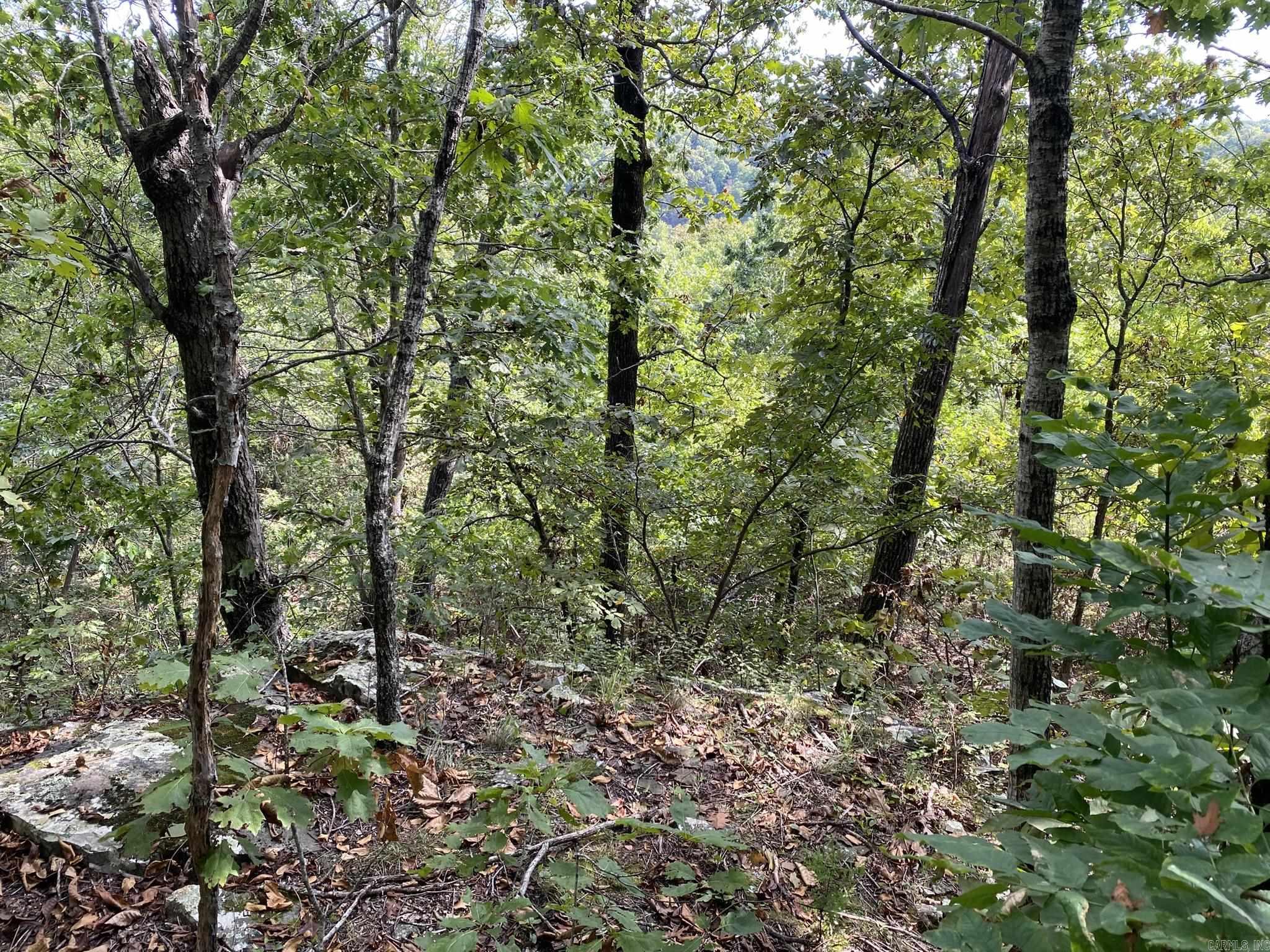 Cooper Point - Land
