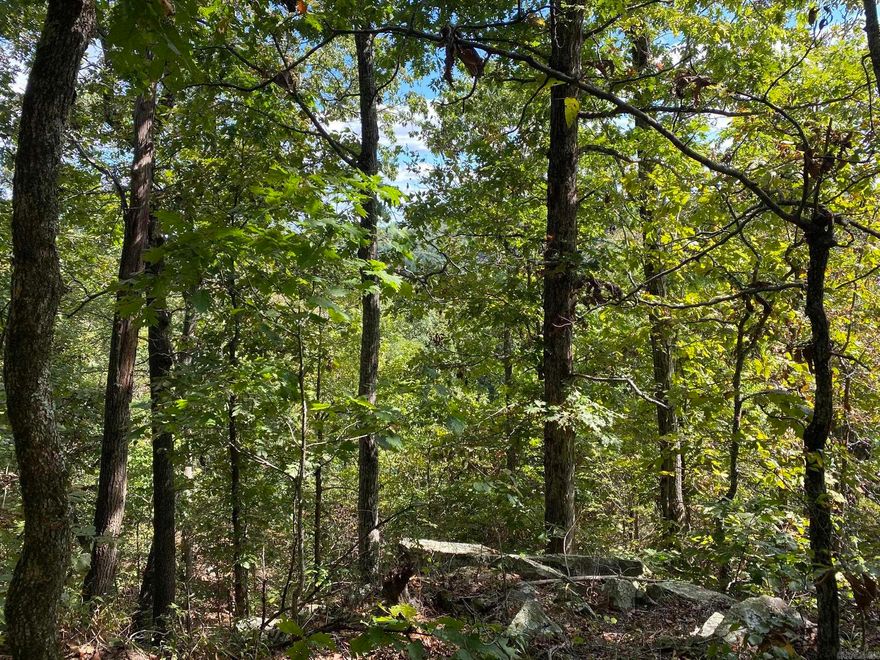 Lot 11 is a 3.1 acre lot nestled in the quite subdivision of Cooper Point right outside of Mountain View Arkansas. This wooded lot will have a great view with some clearing in the back. Restrictive covenants in place to protect the homeowners value.