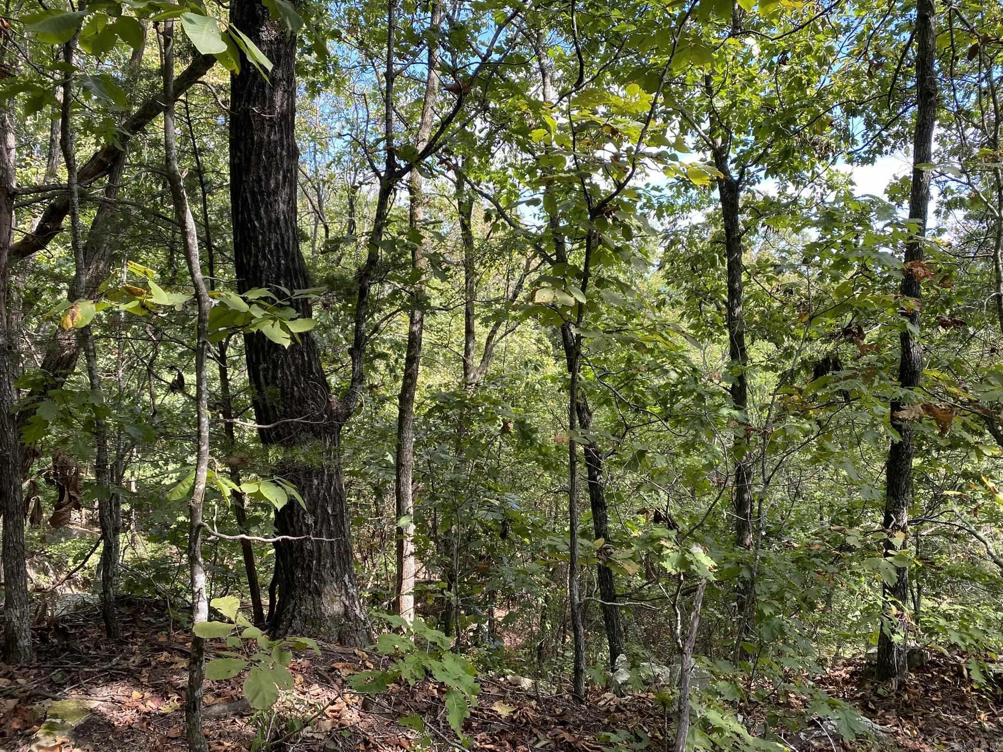 Cooper Point - Land