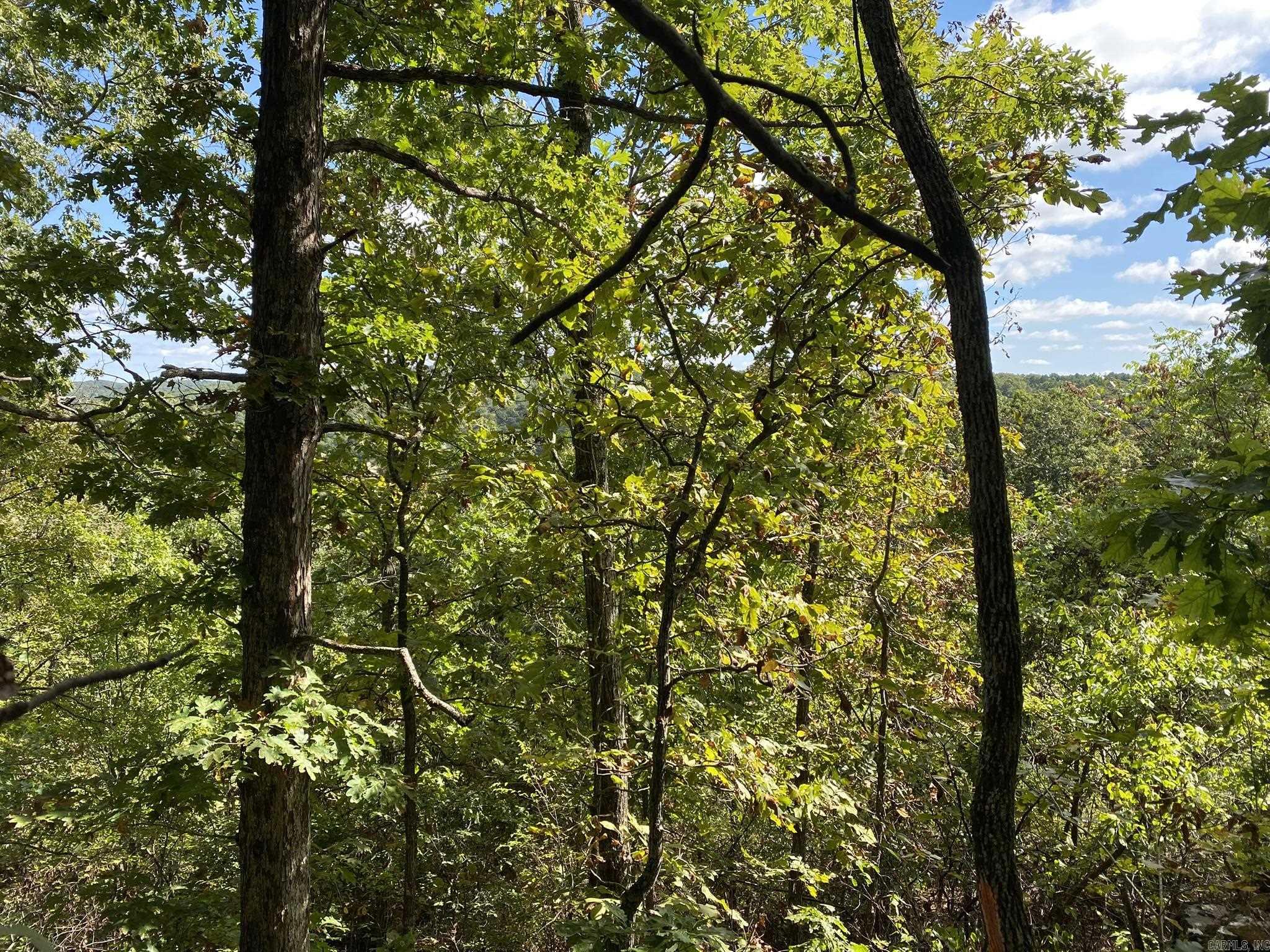 Cooper Point - Land