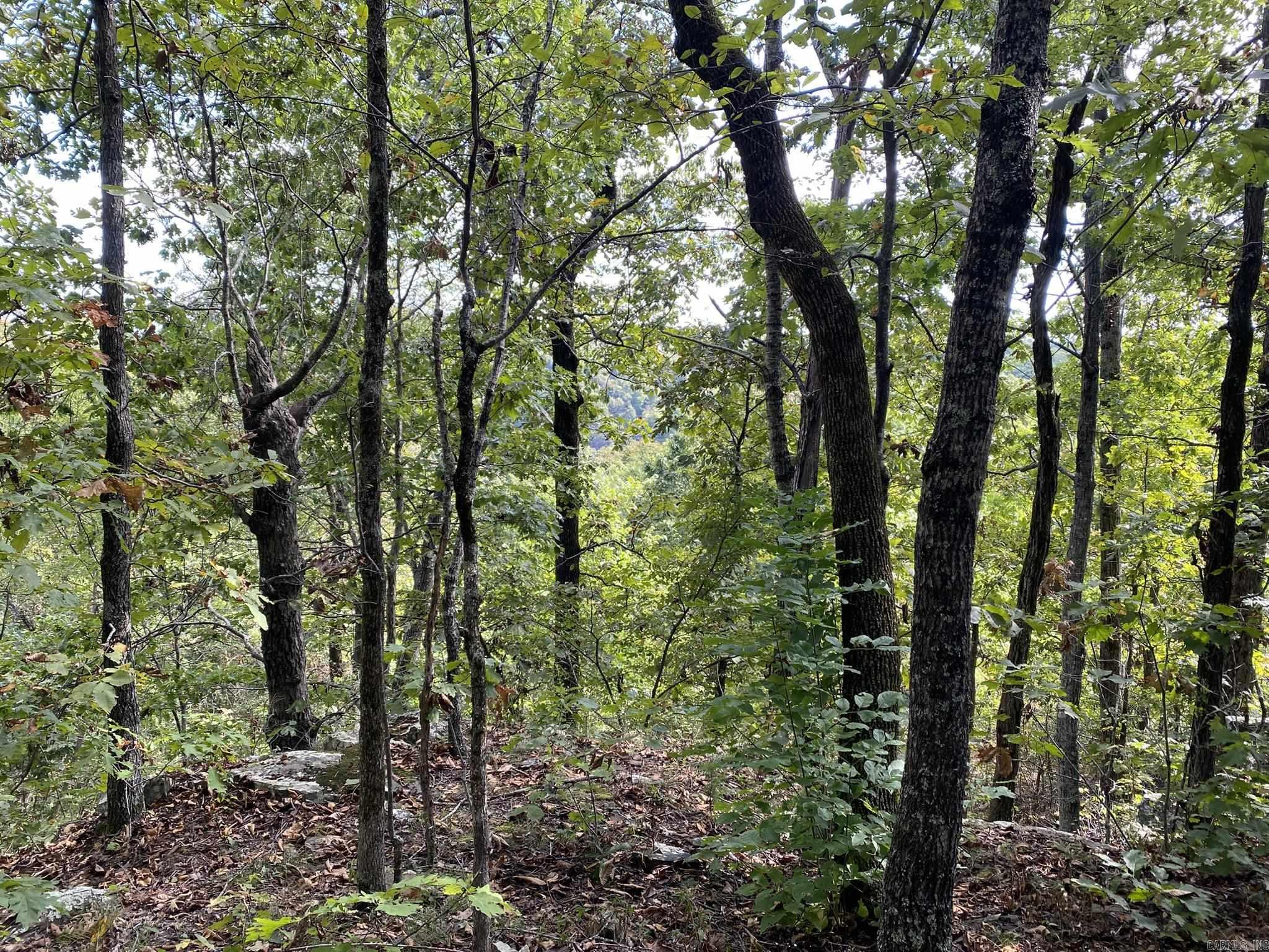 Cooper Point - Land
