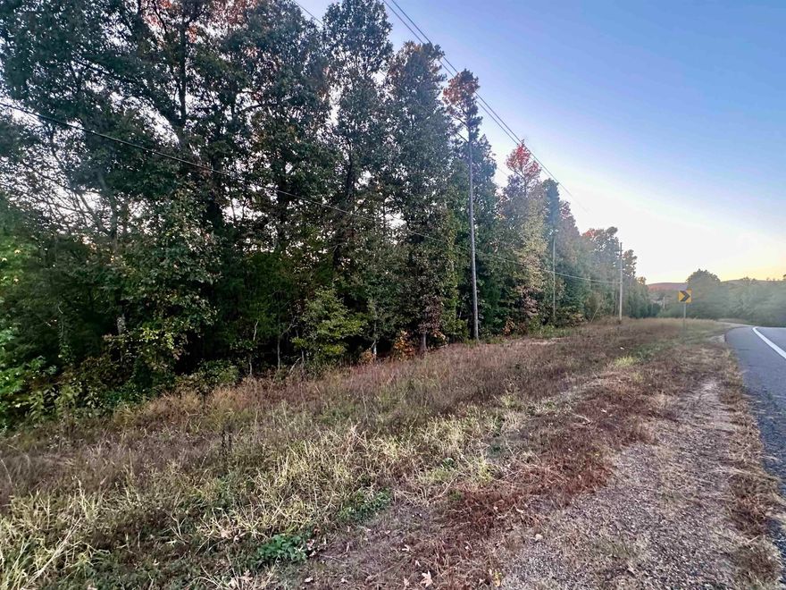 Peaceful wooded setting ideal for a vacation rental. Here's your chance to own a prime location 100 yards from the Ouachita River, minutes from the Ouachita National Forest, Mt Ida and the famous Camp Ozark. Full of mature hardwood and pine even has seasonal creek.