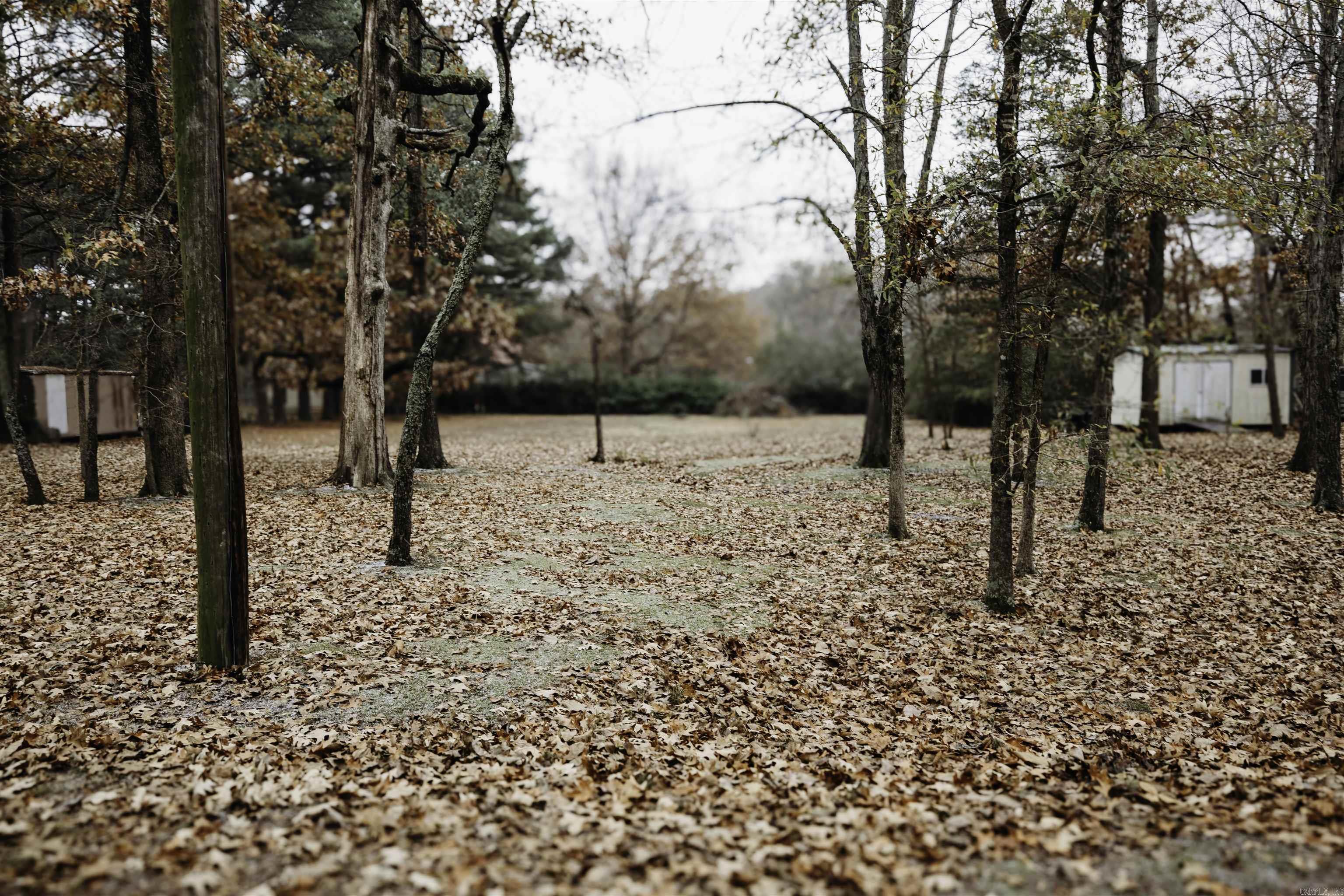 Weiner Original - Residential